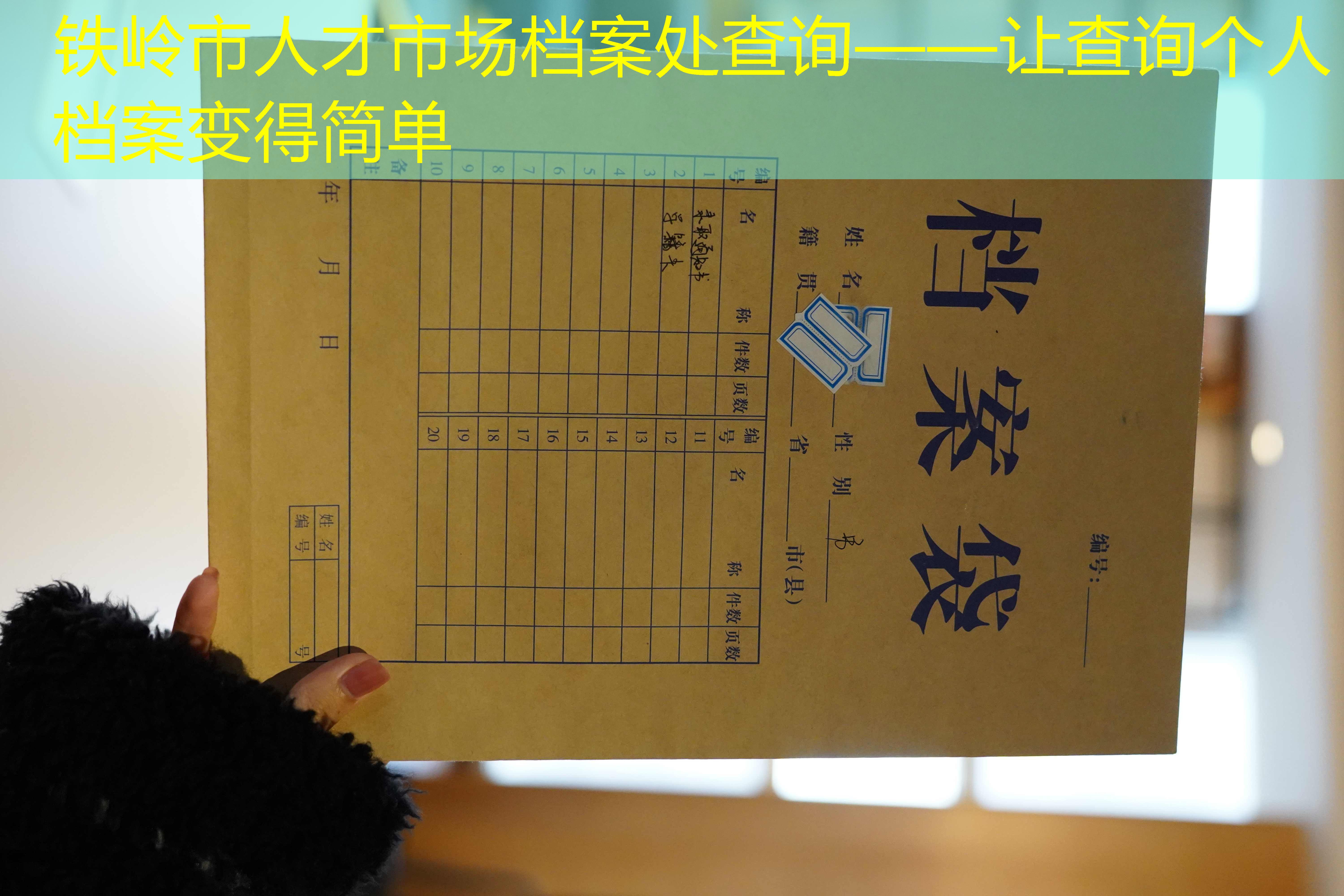 档案查询