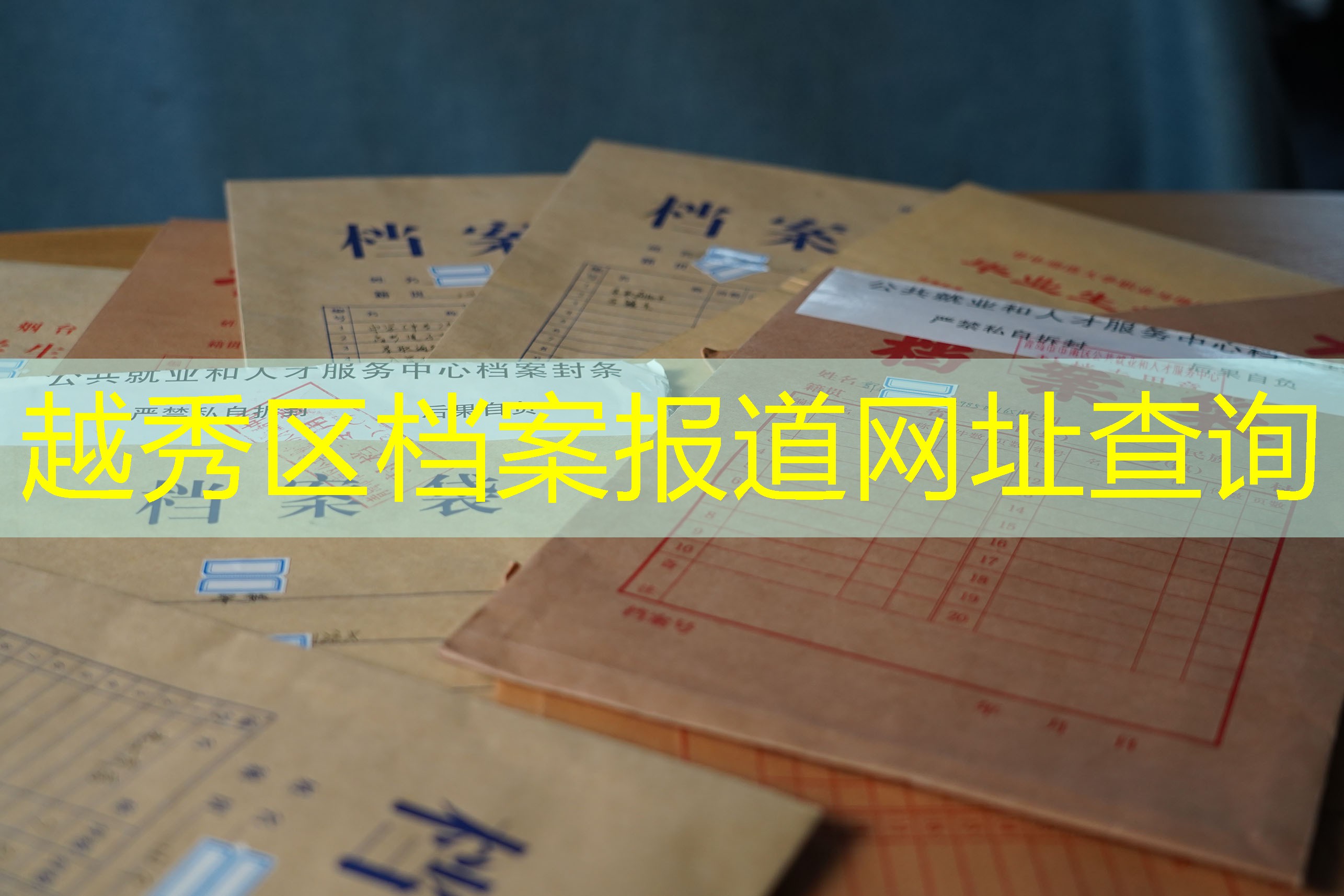 档案查询