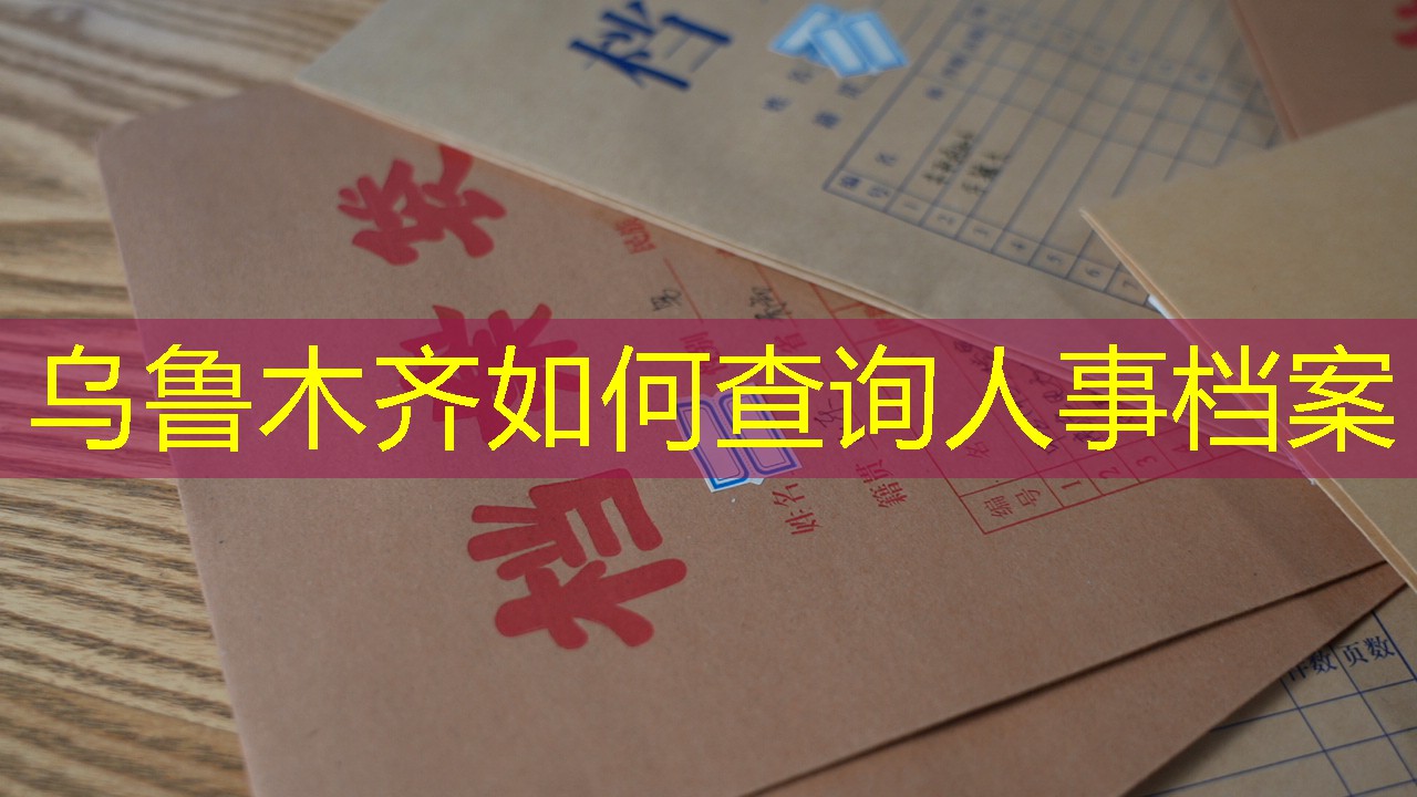 档案查询