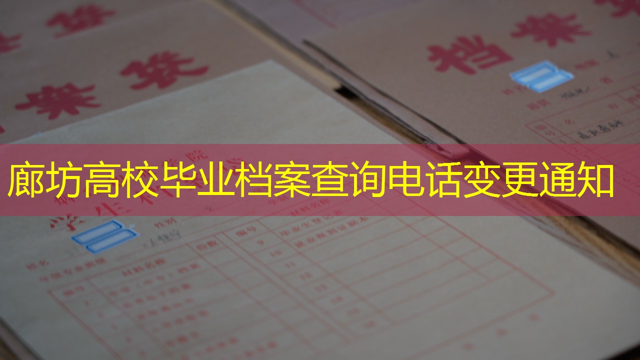 档案查询