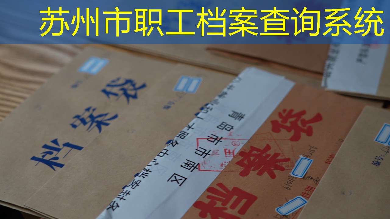 档案查询