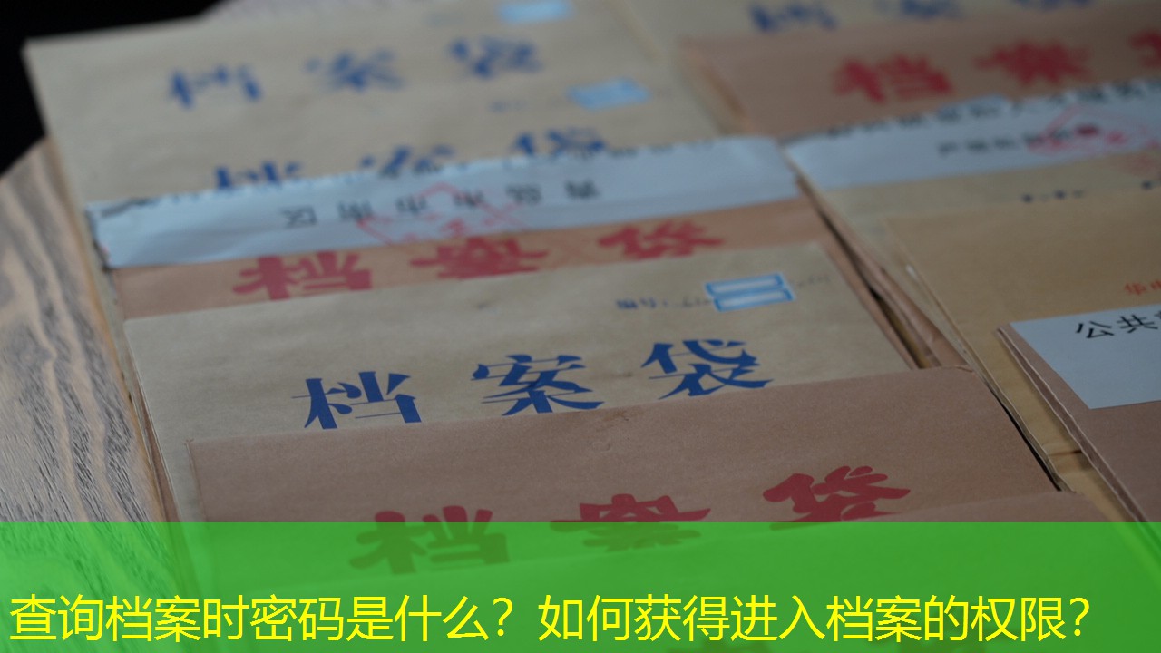 档案查询