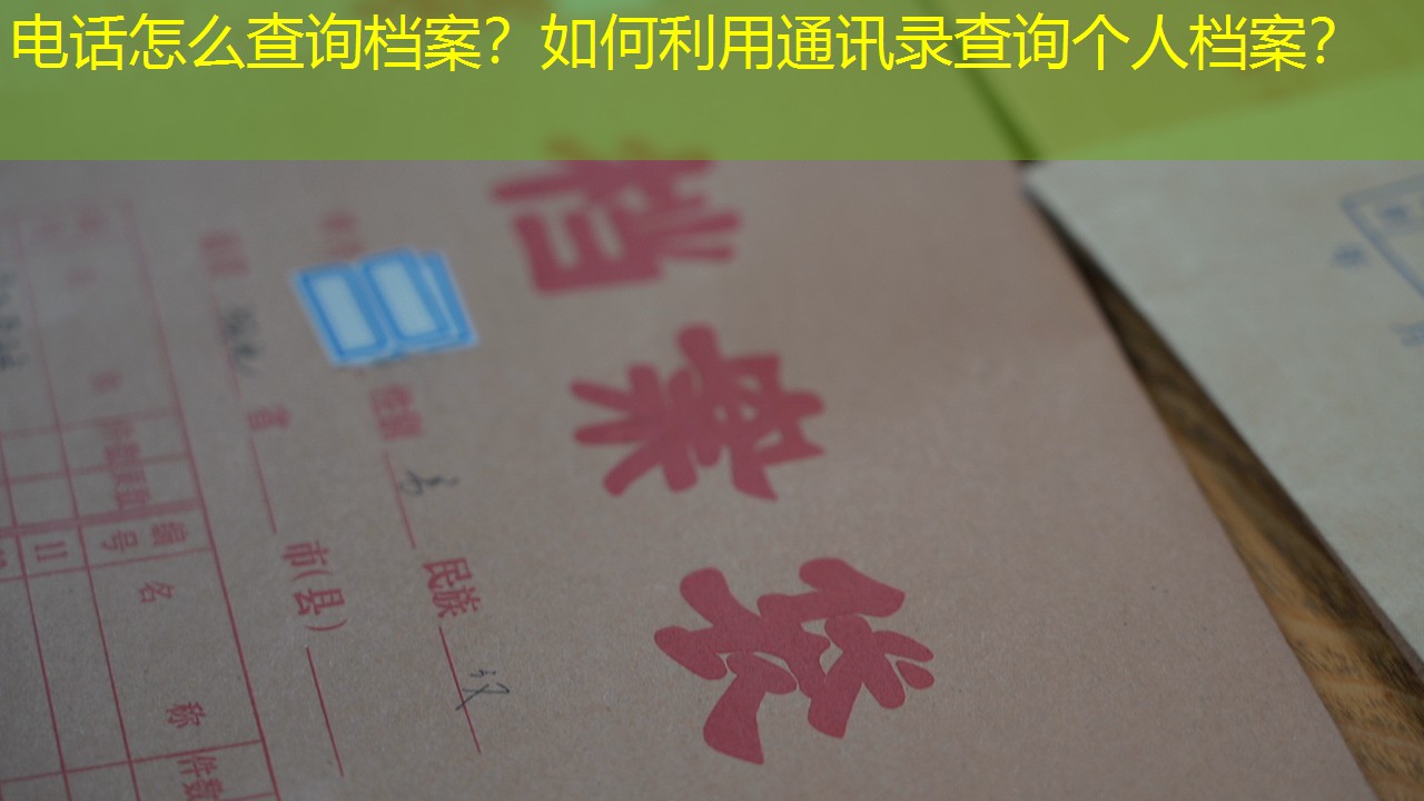 档案查询