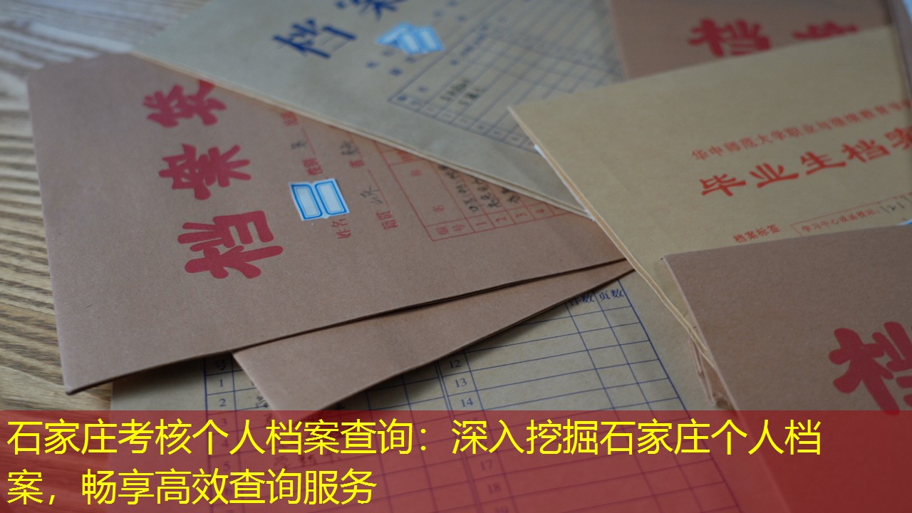 档案查询