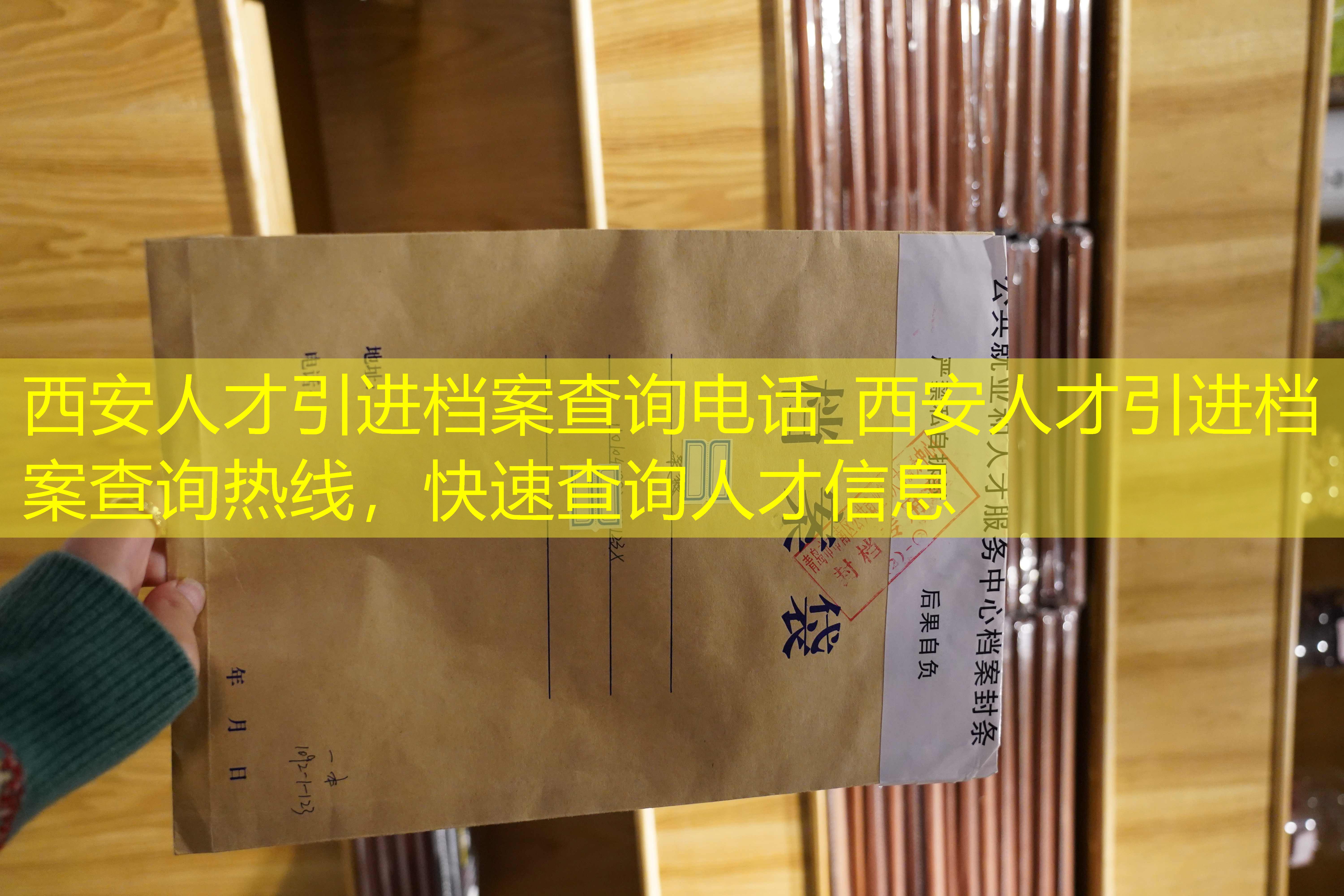 档案查询