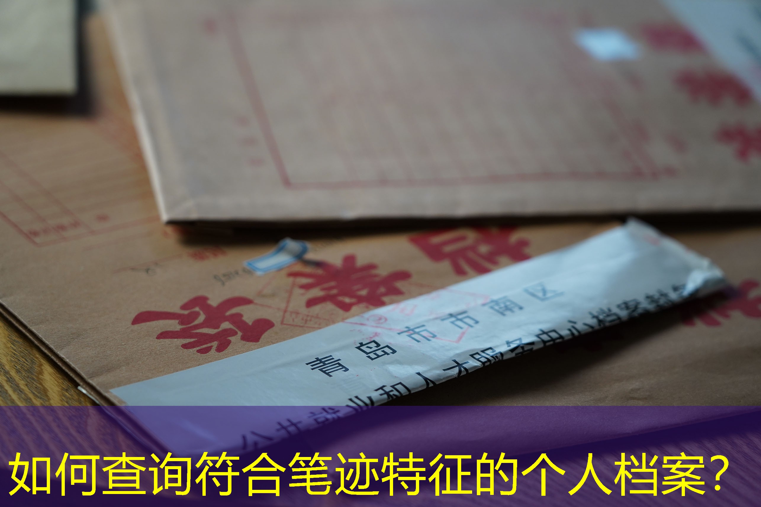 档案查询