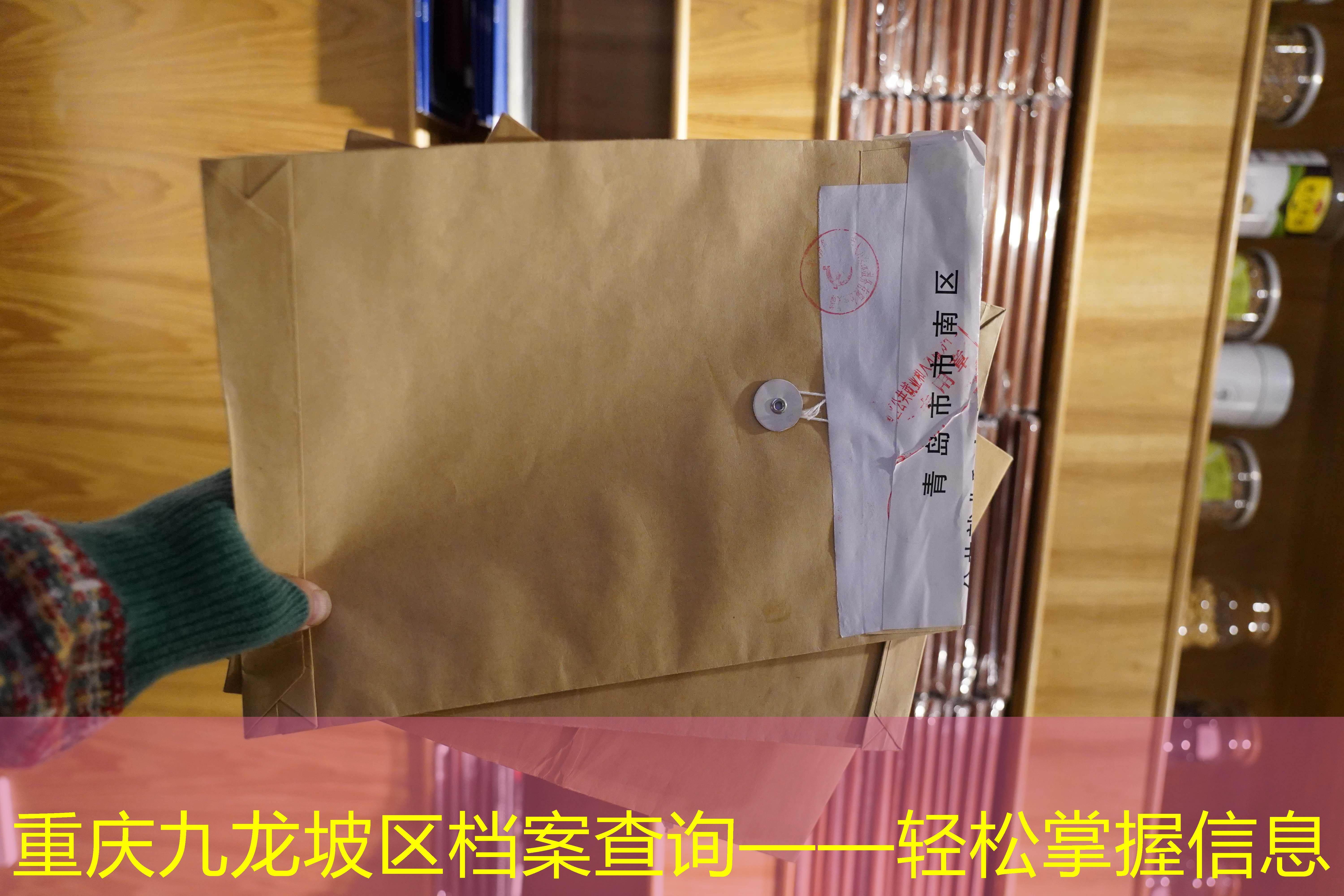 档案查询