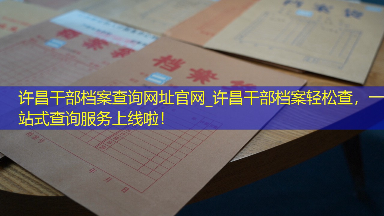 档案查询