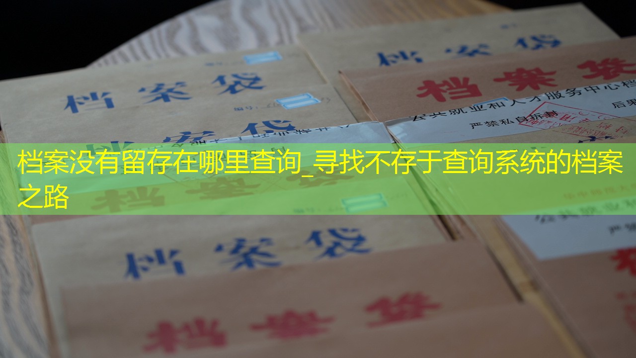 档案查询