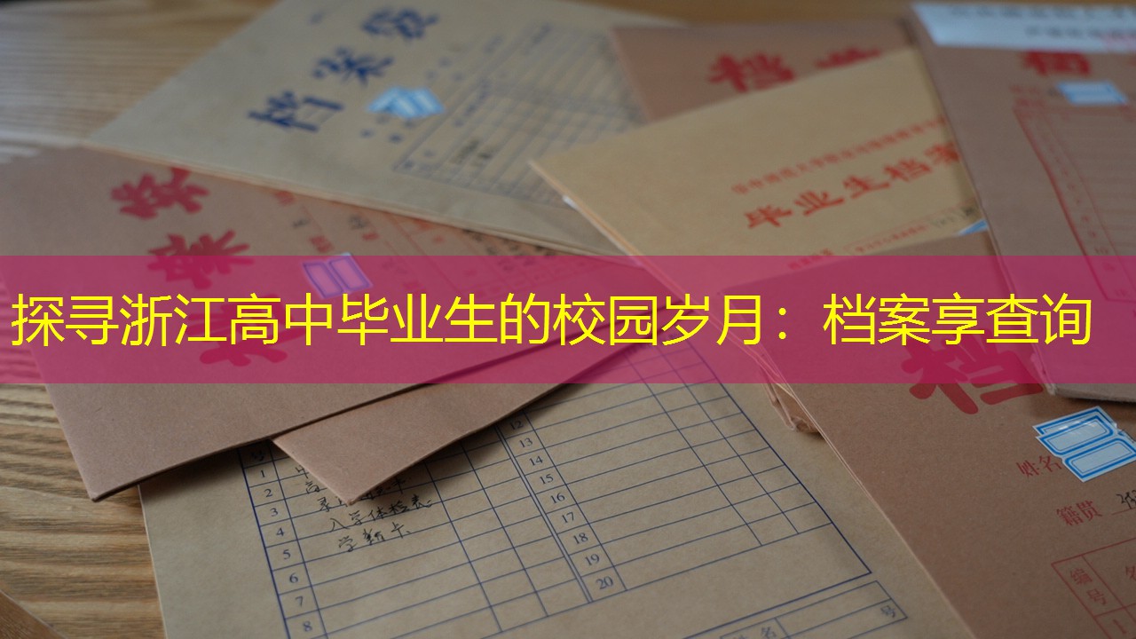档案查询
