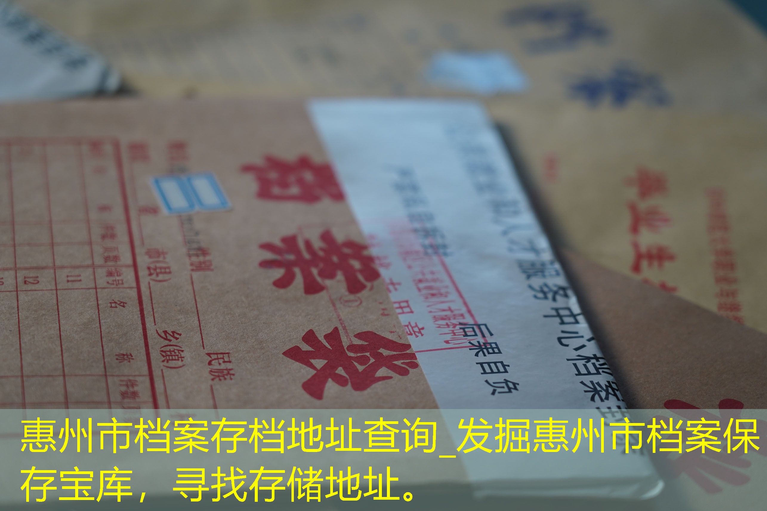 档案查询