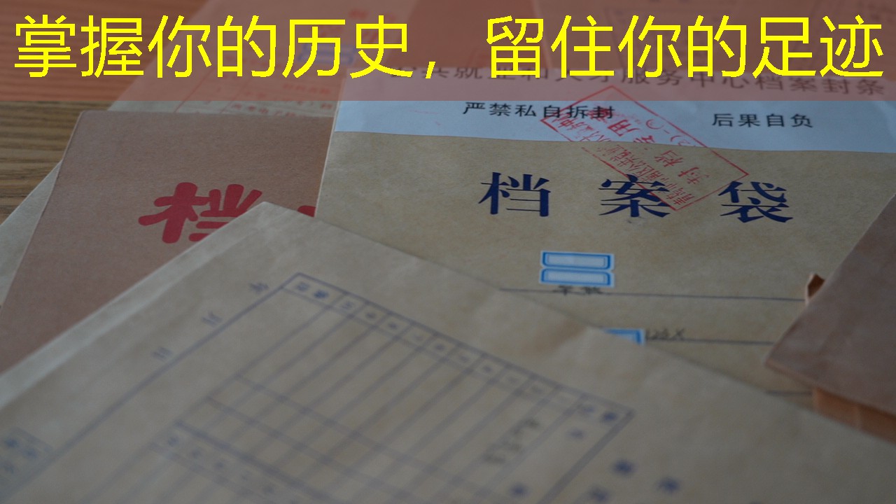 档案查询