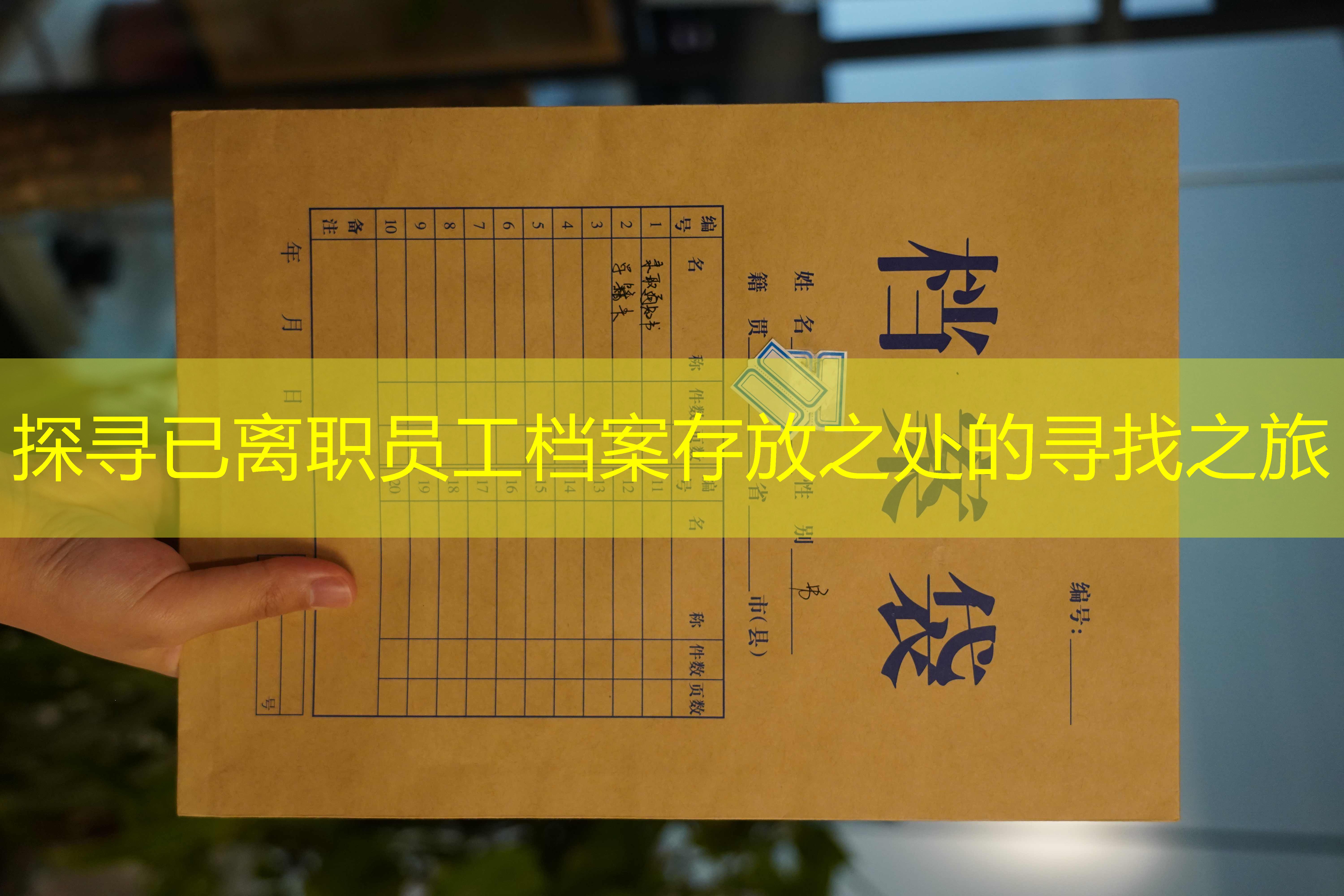 档案查询