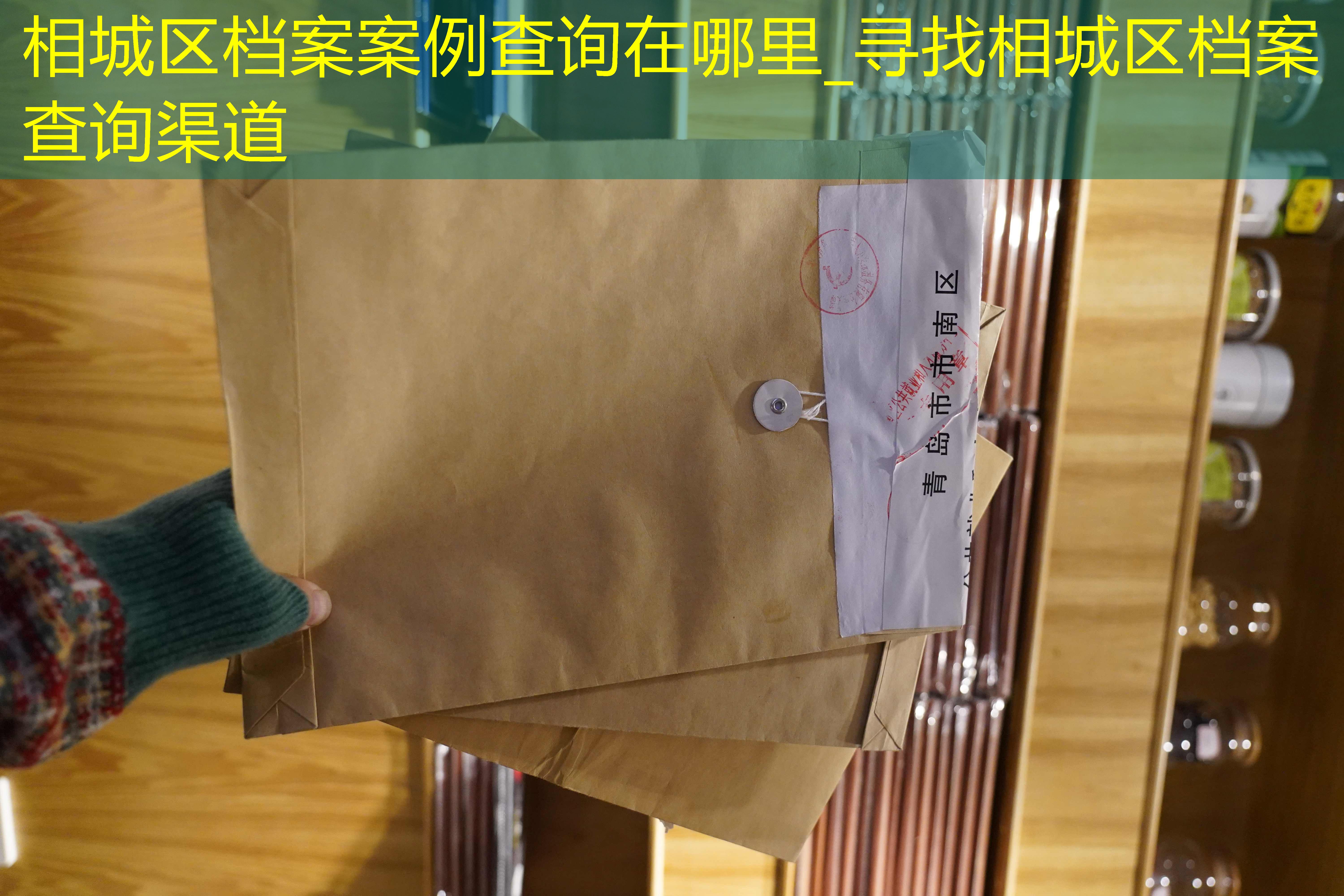 档案查询