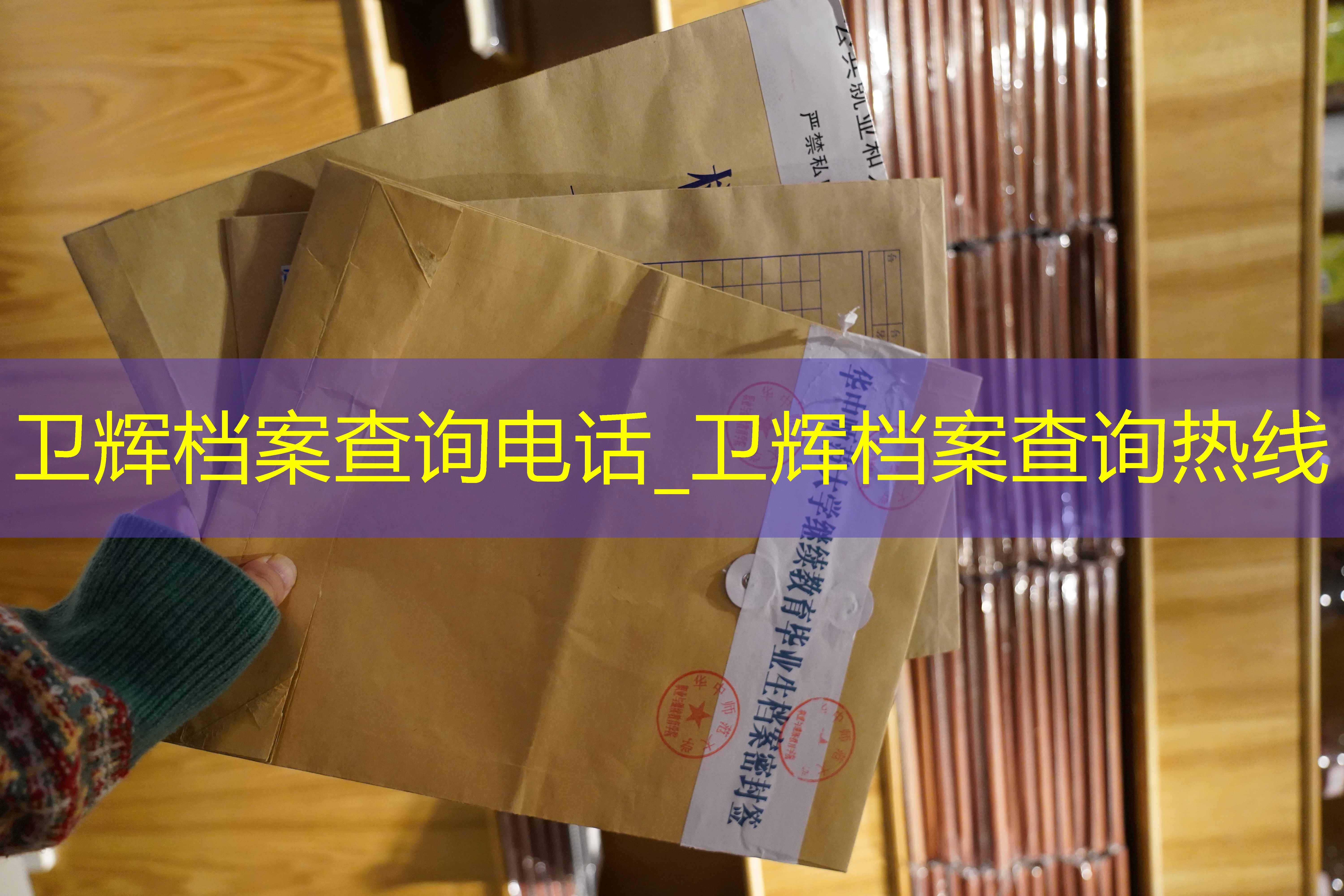 档案查询