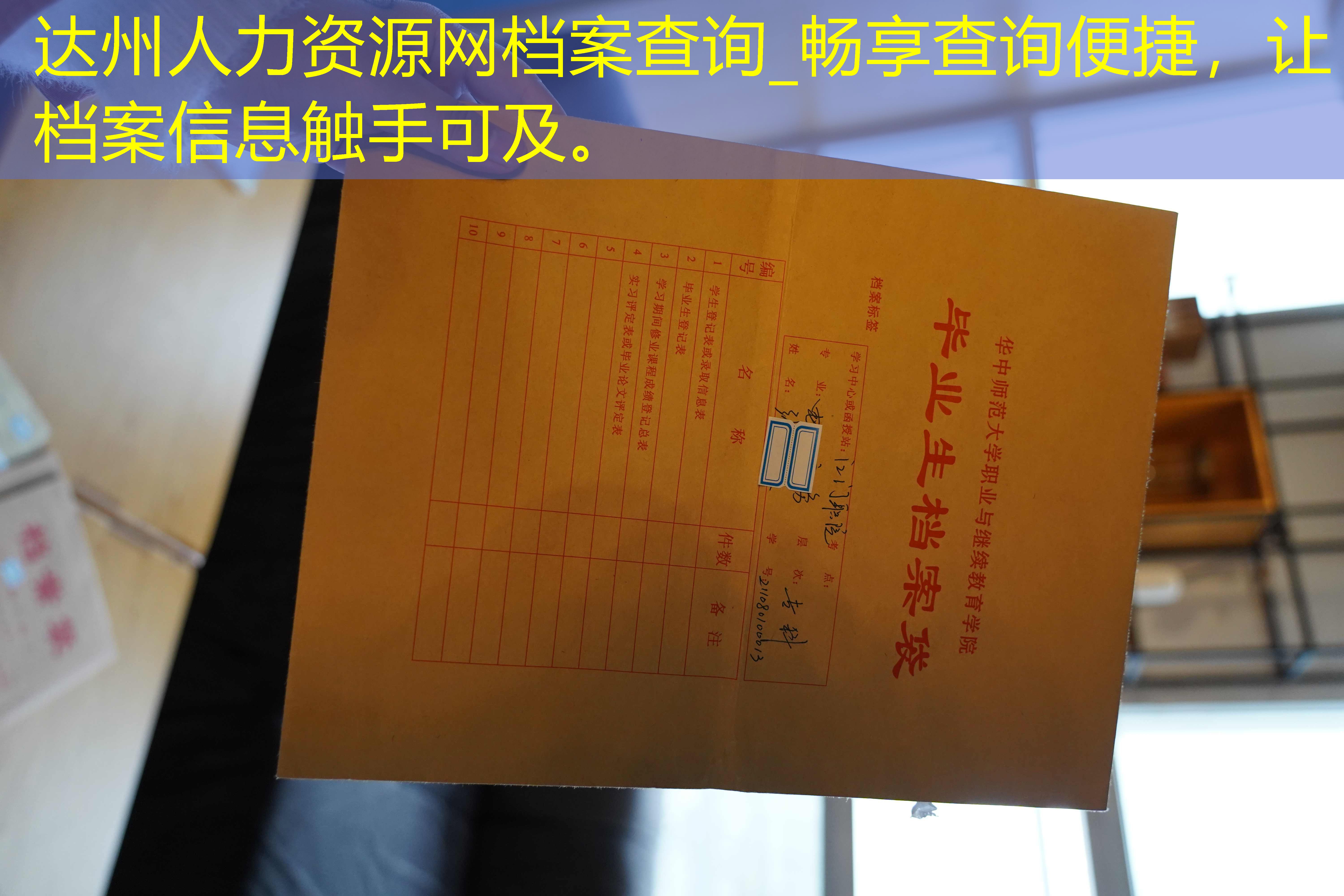 档案查询