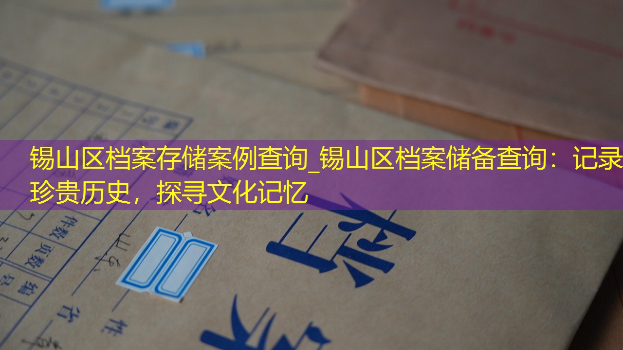 档案查询