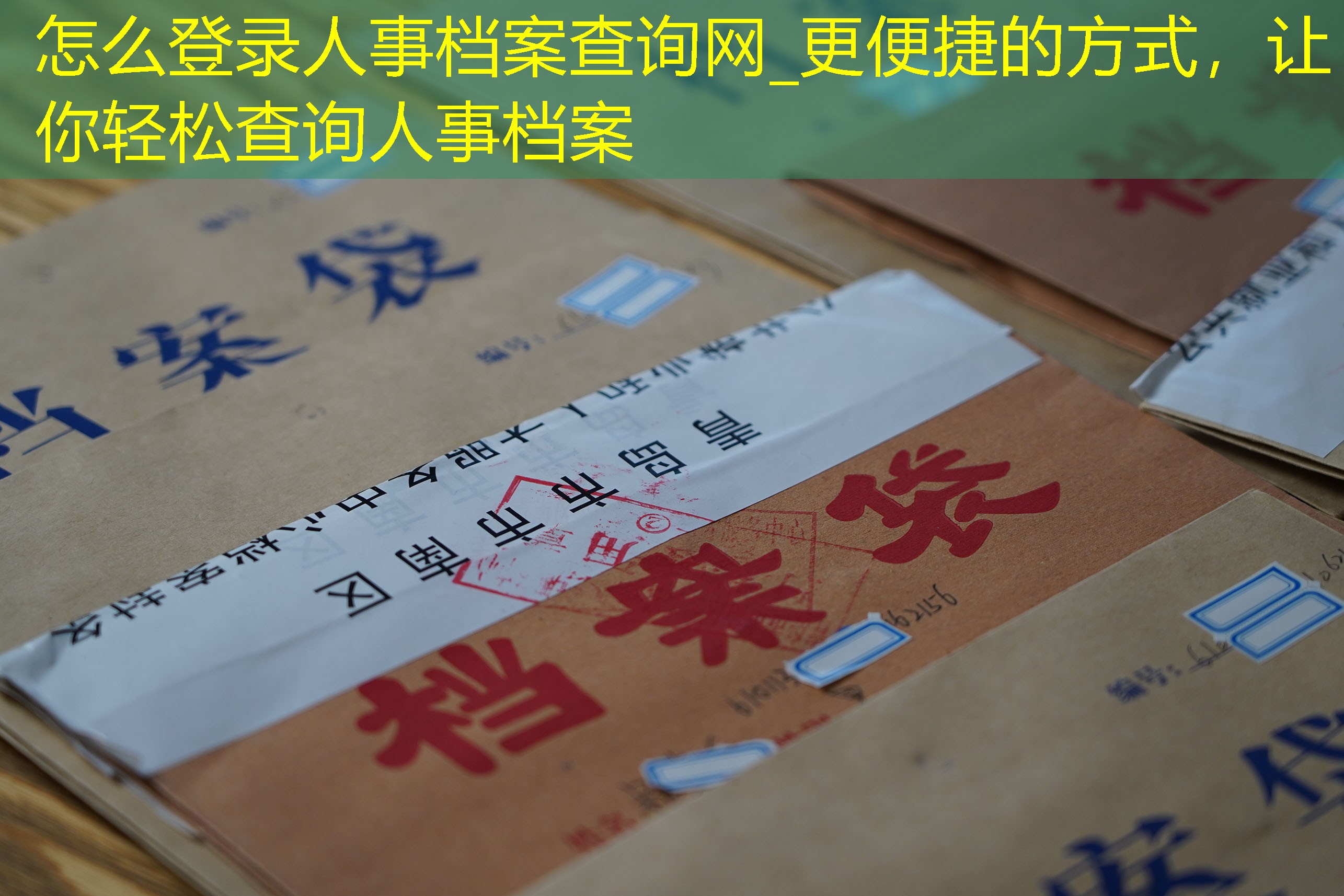 档案查询