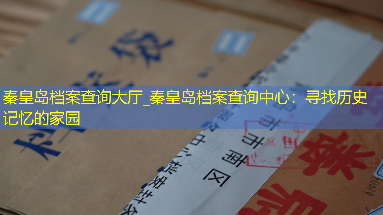 档案查询