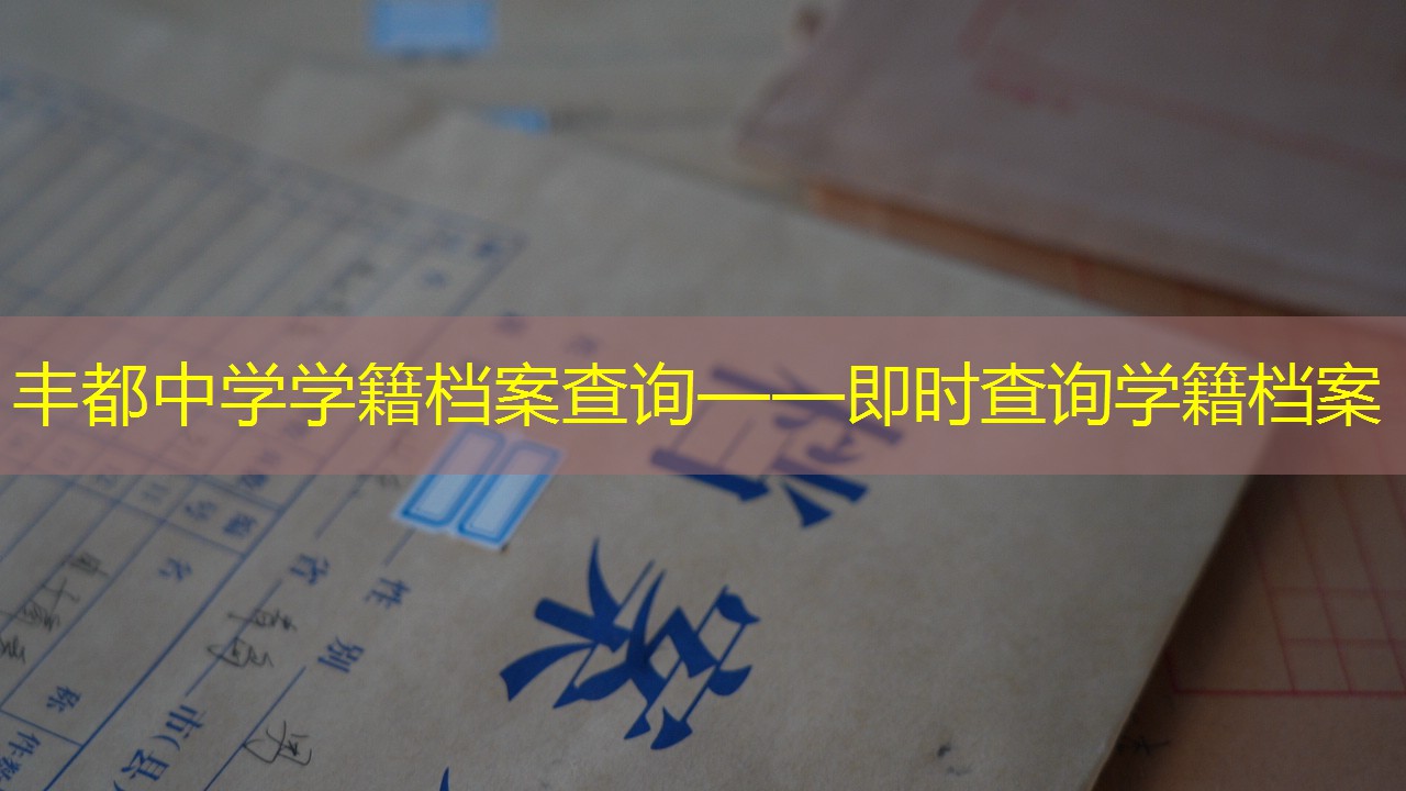 档案查询