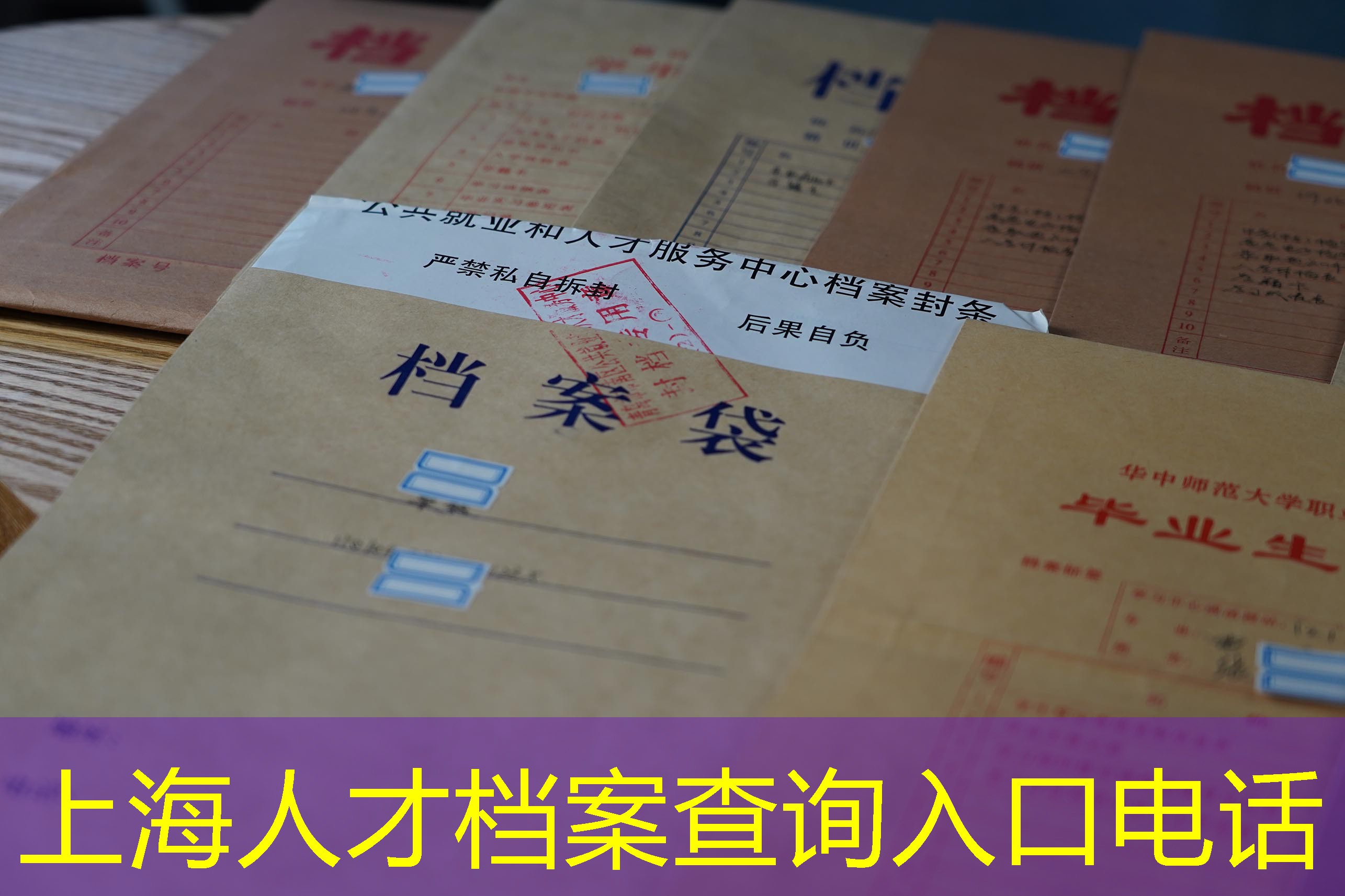 档案查询