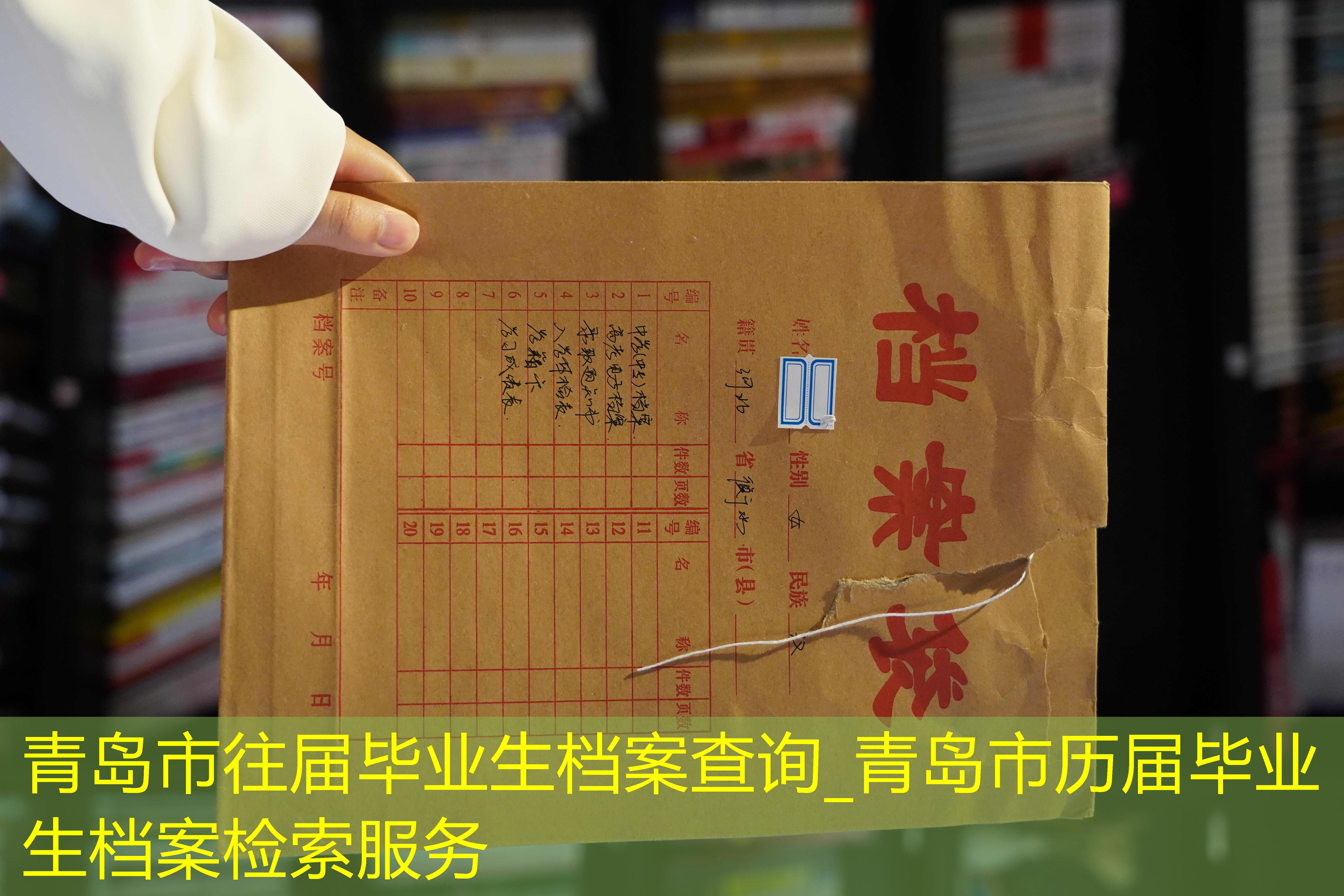 档案查询