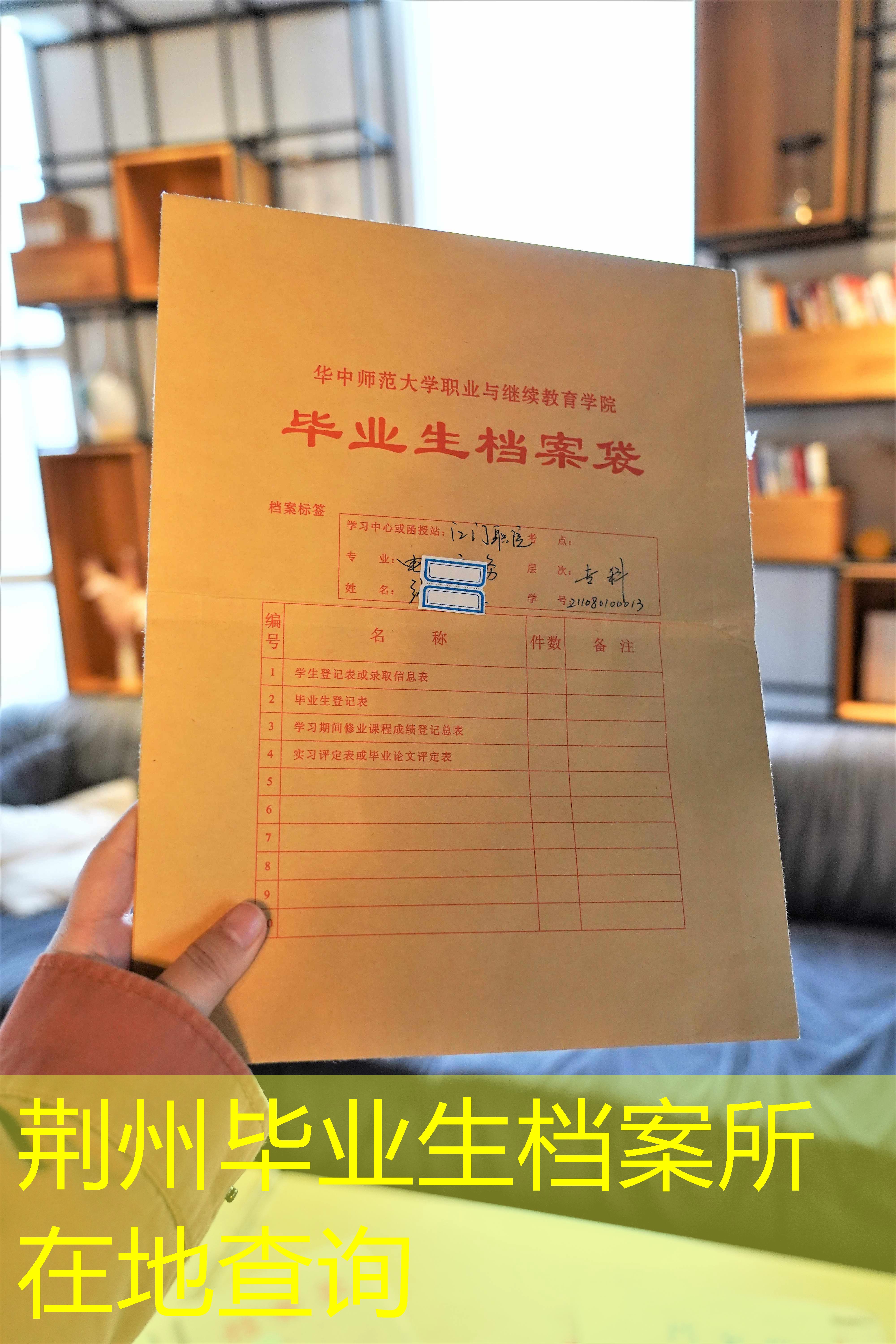 档案查询