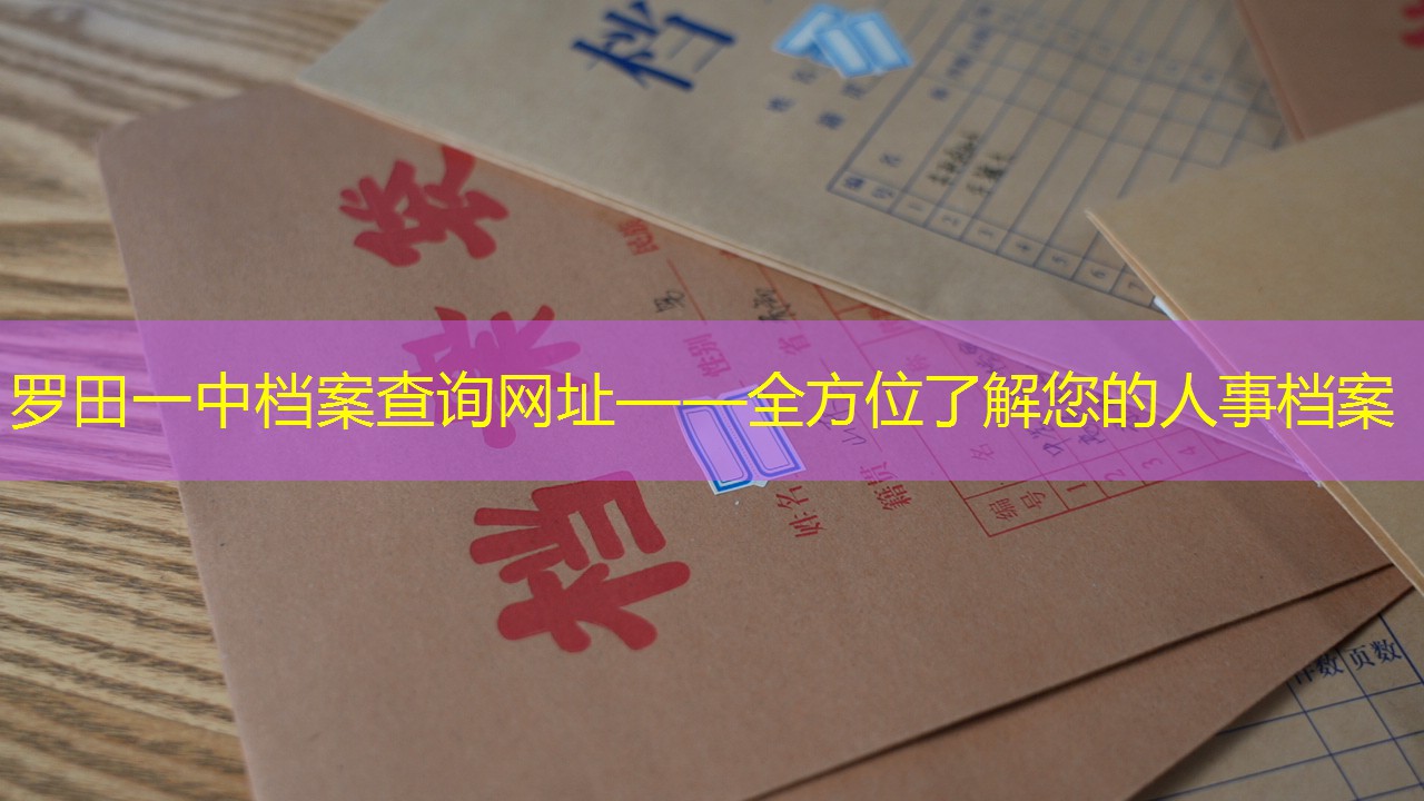档案查询