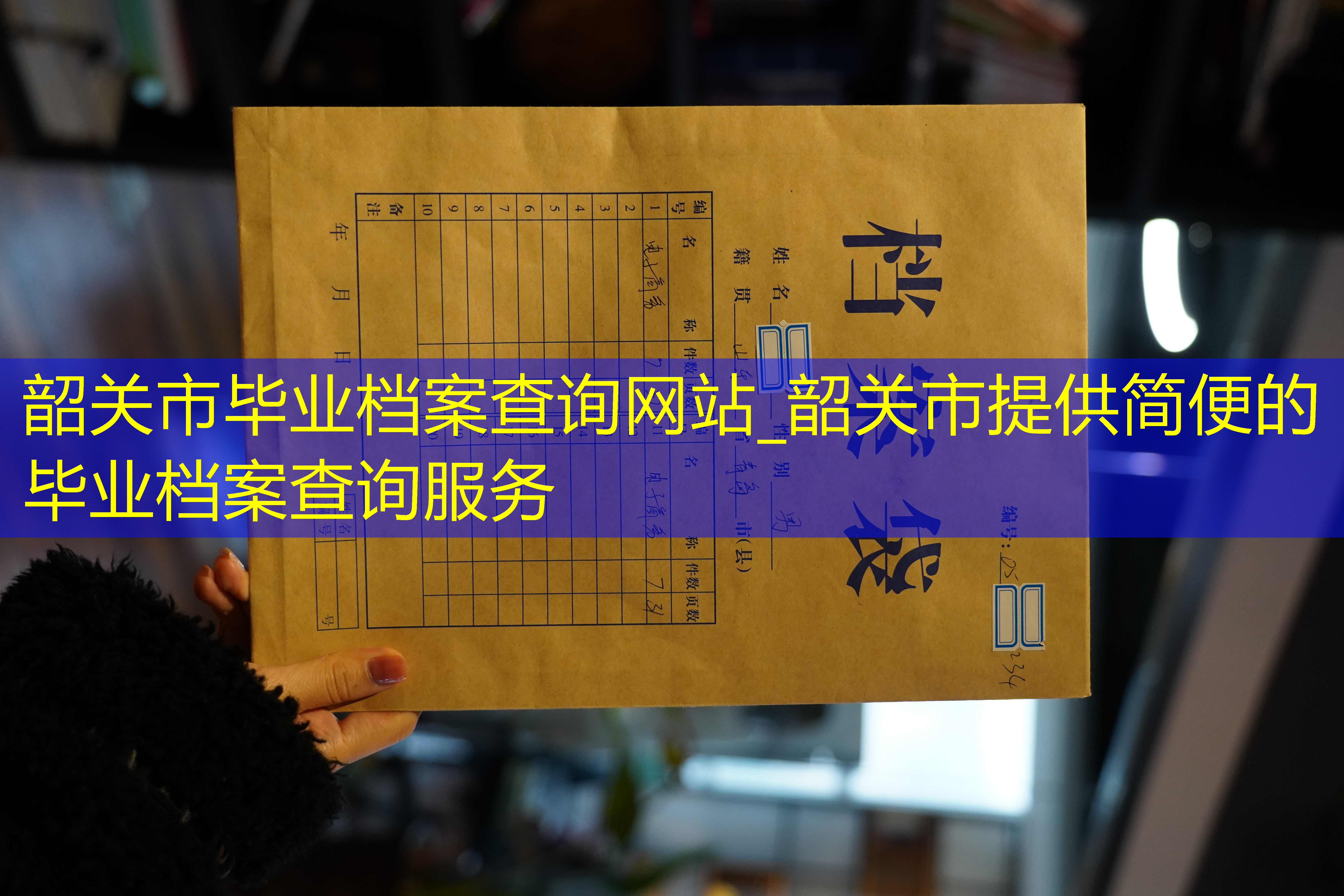 档案查询