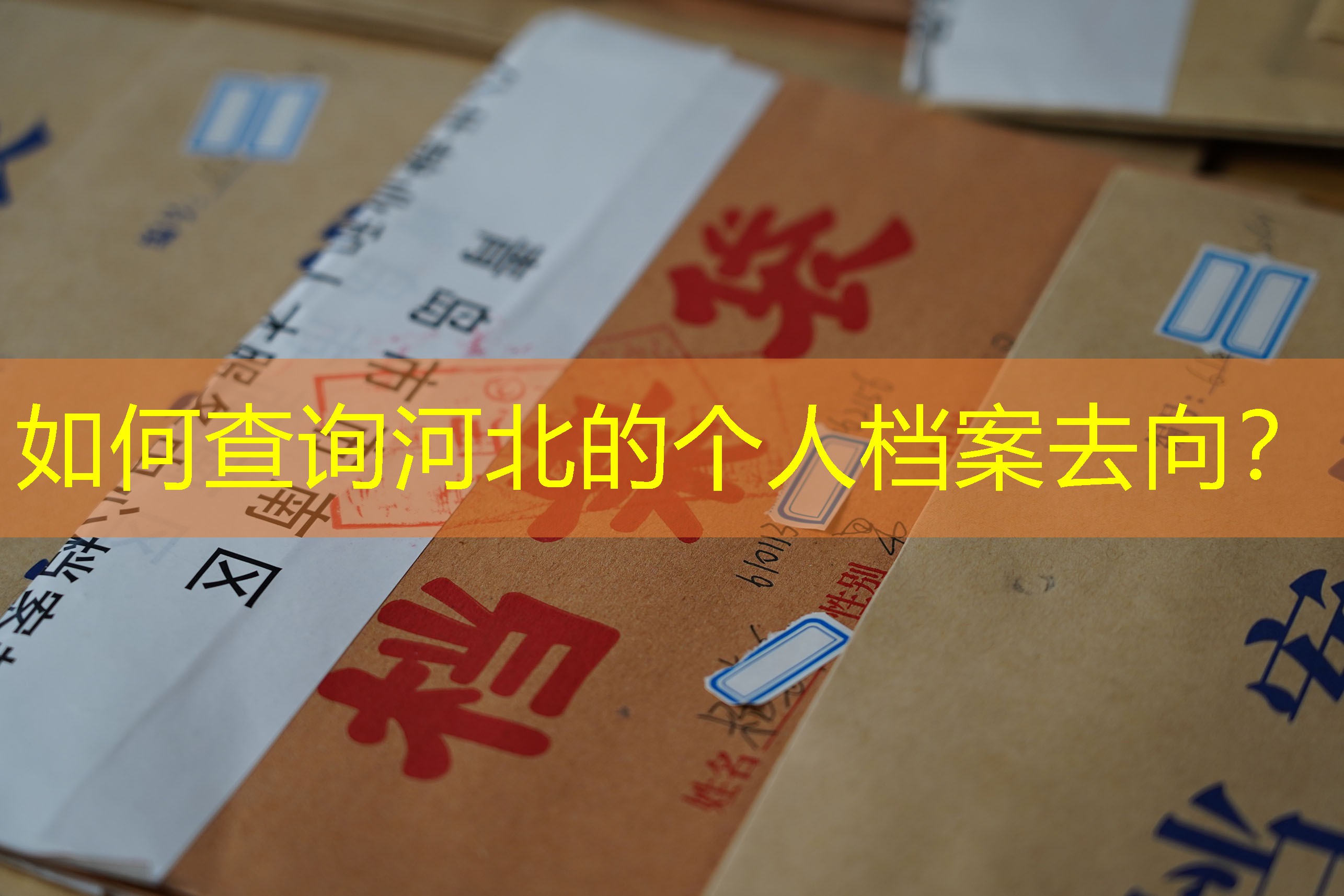 档案查询