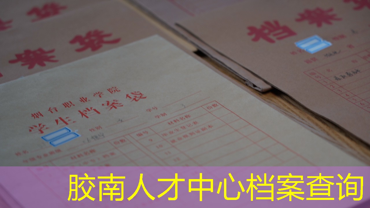 档案查询