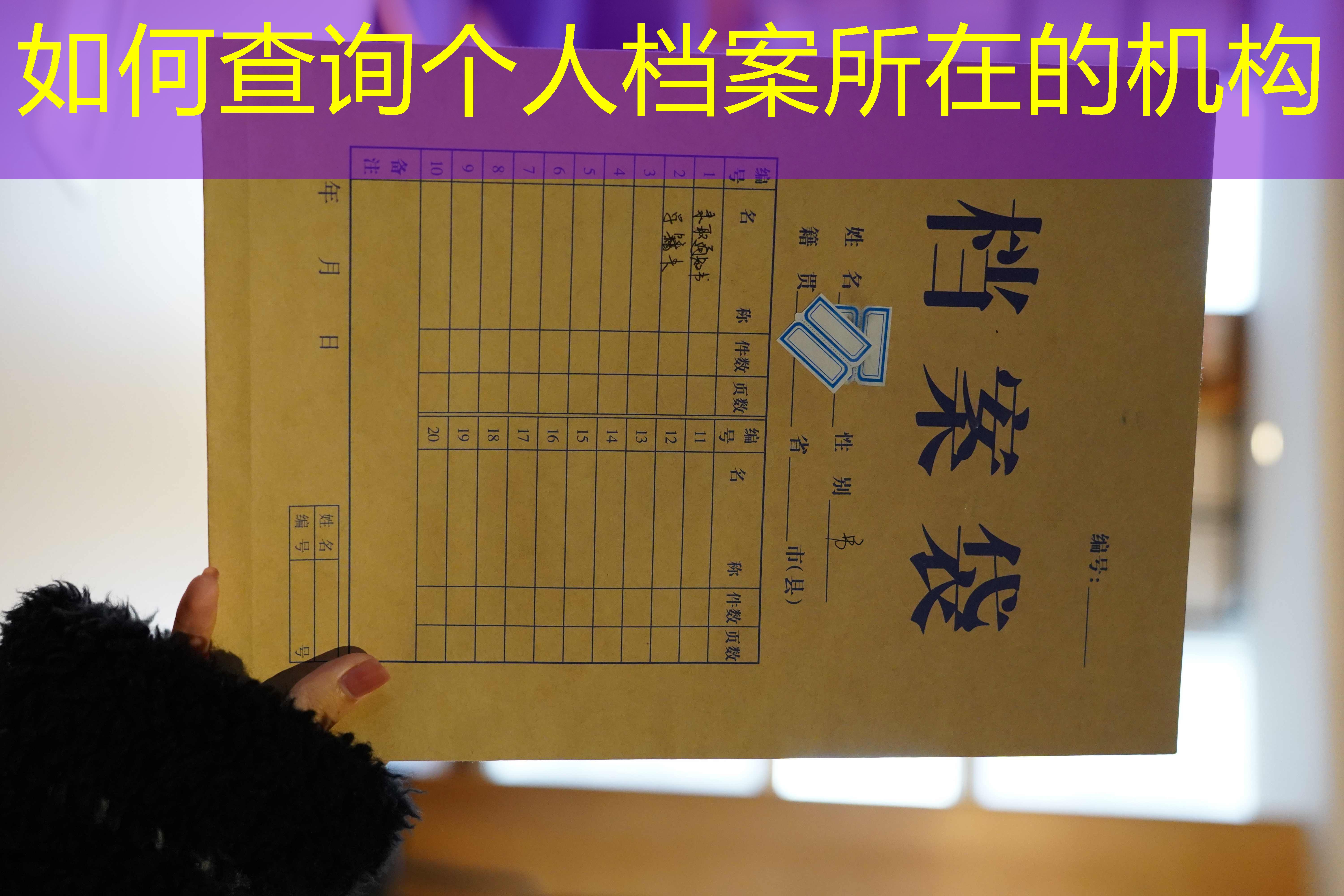 档案查询
