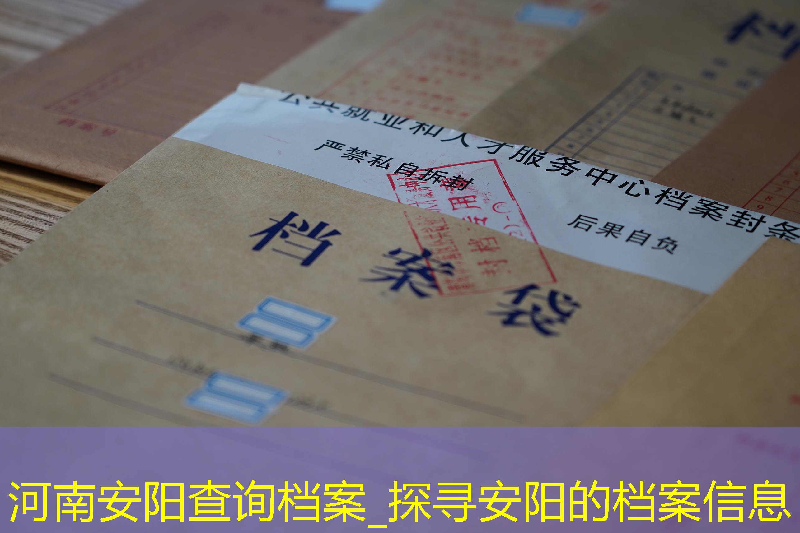 档案查询