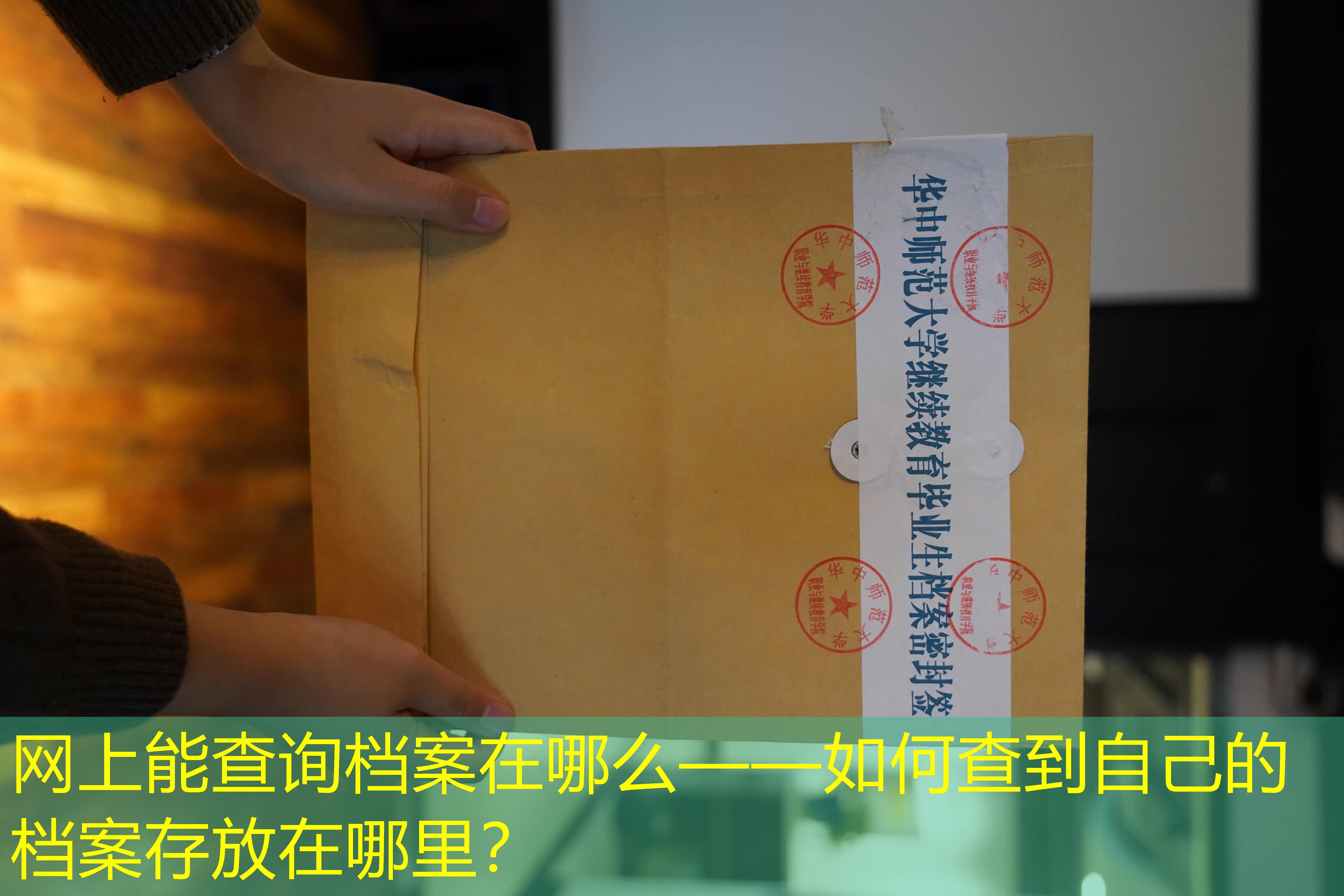 档案查询