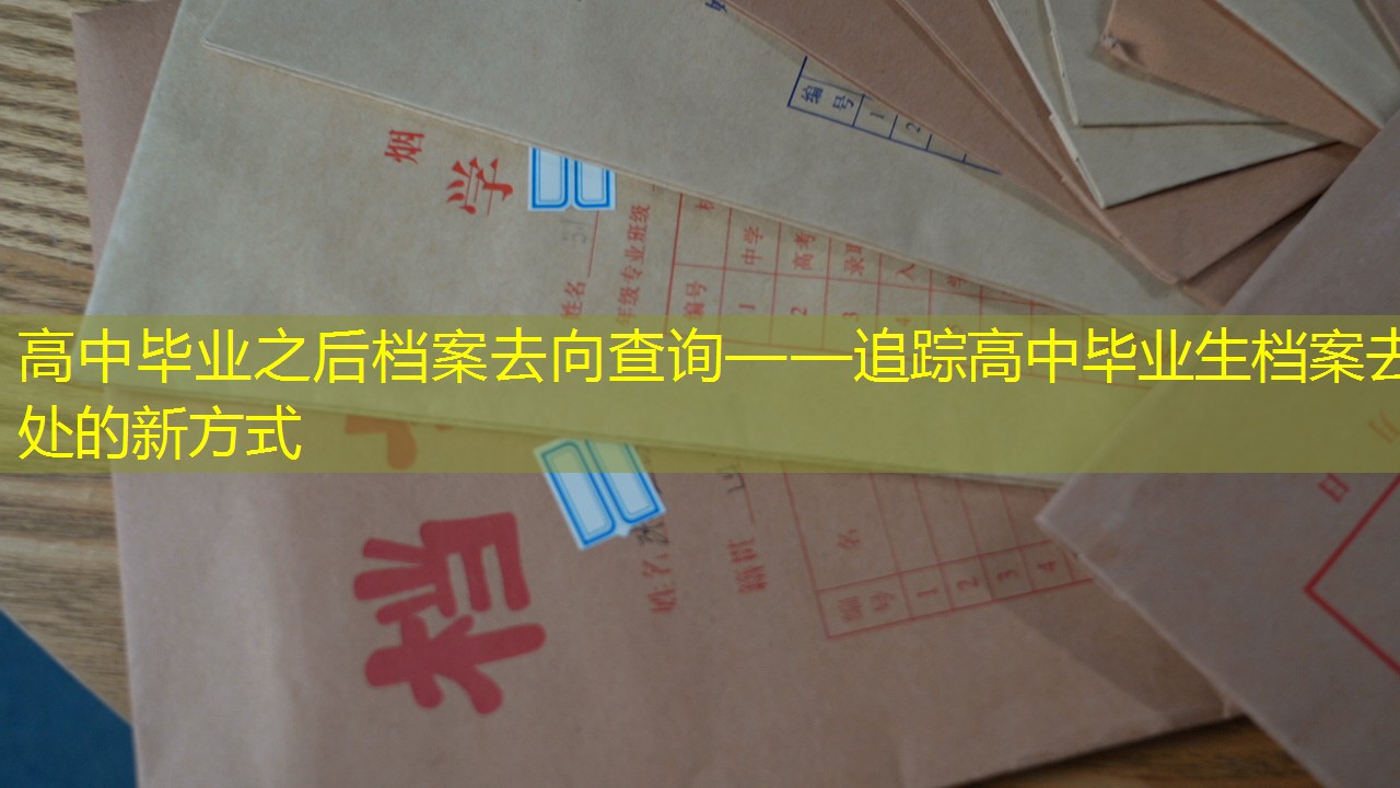 档案查询