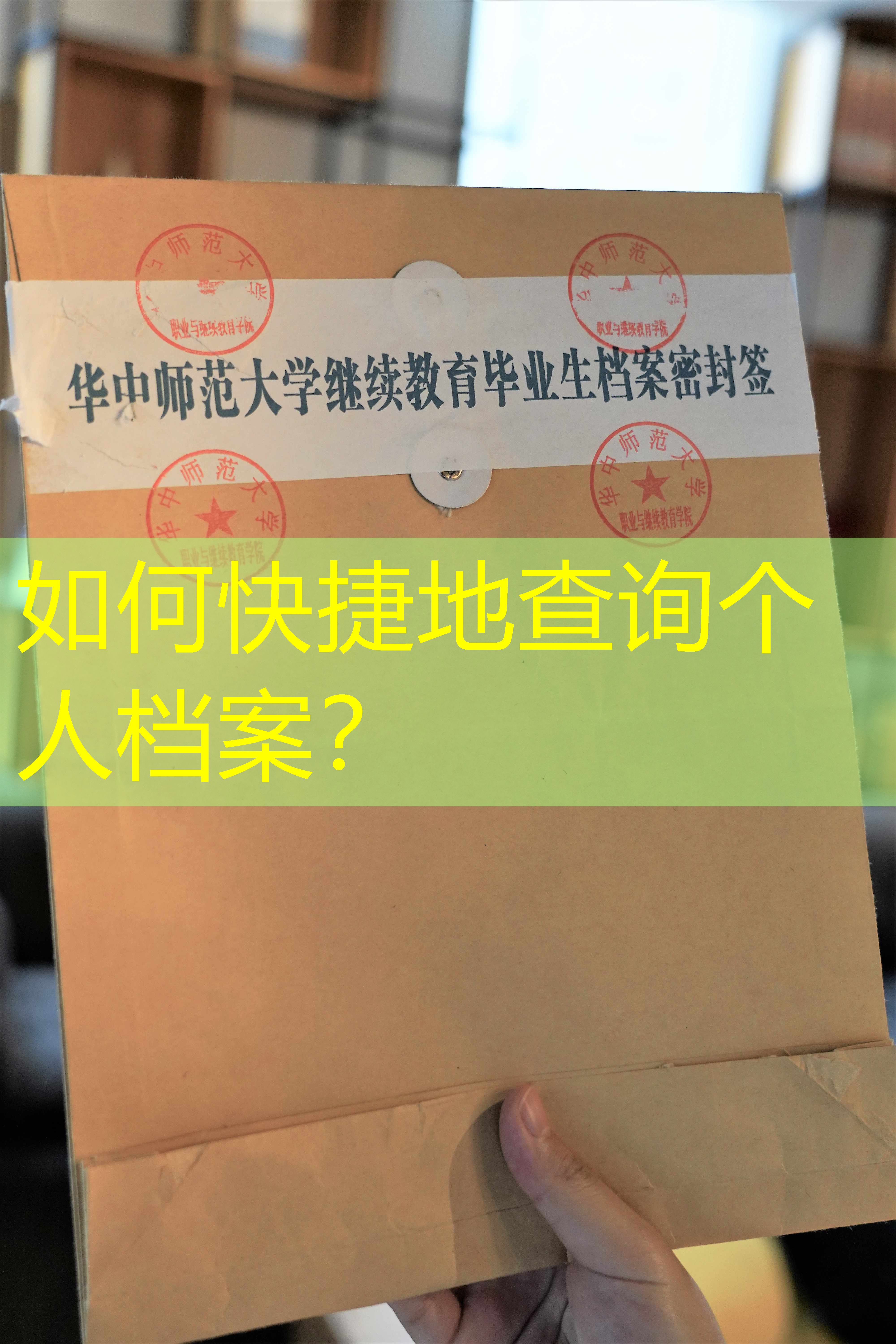 档案查询