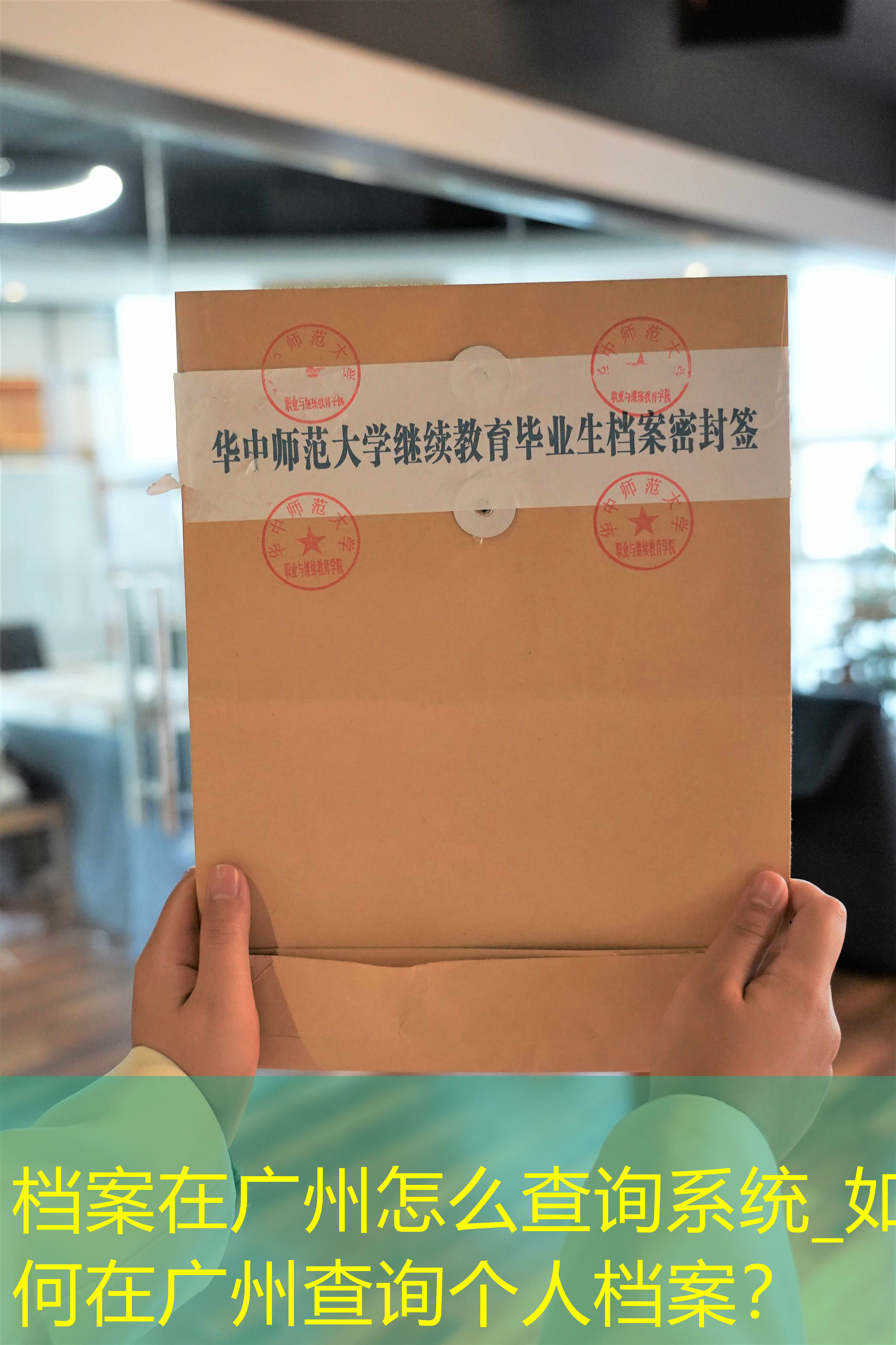 档案查询