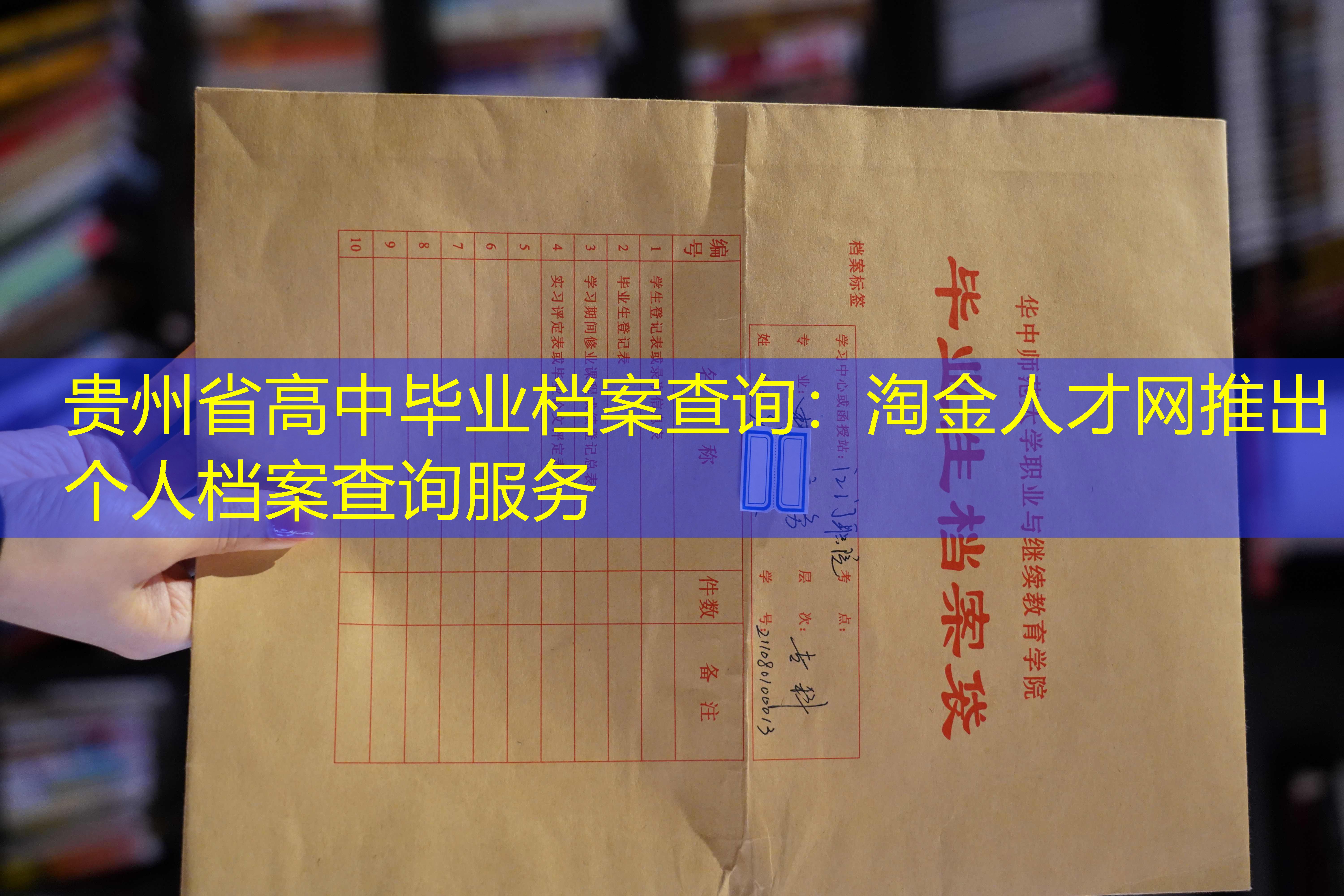 档案查询