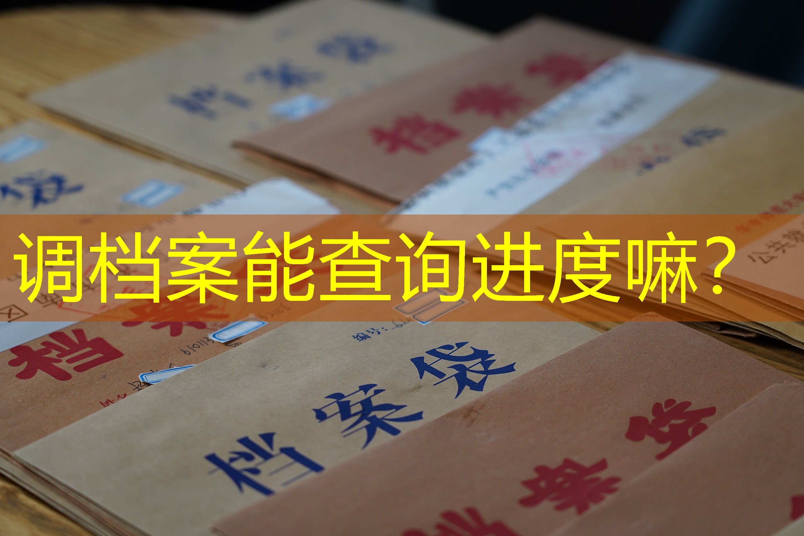 档案查询