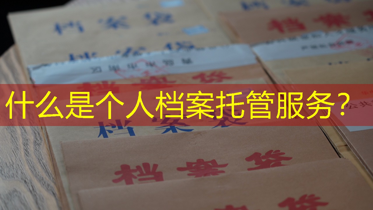 档案查询