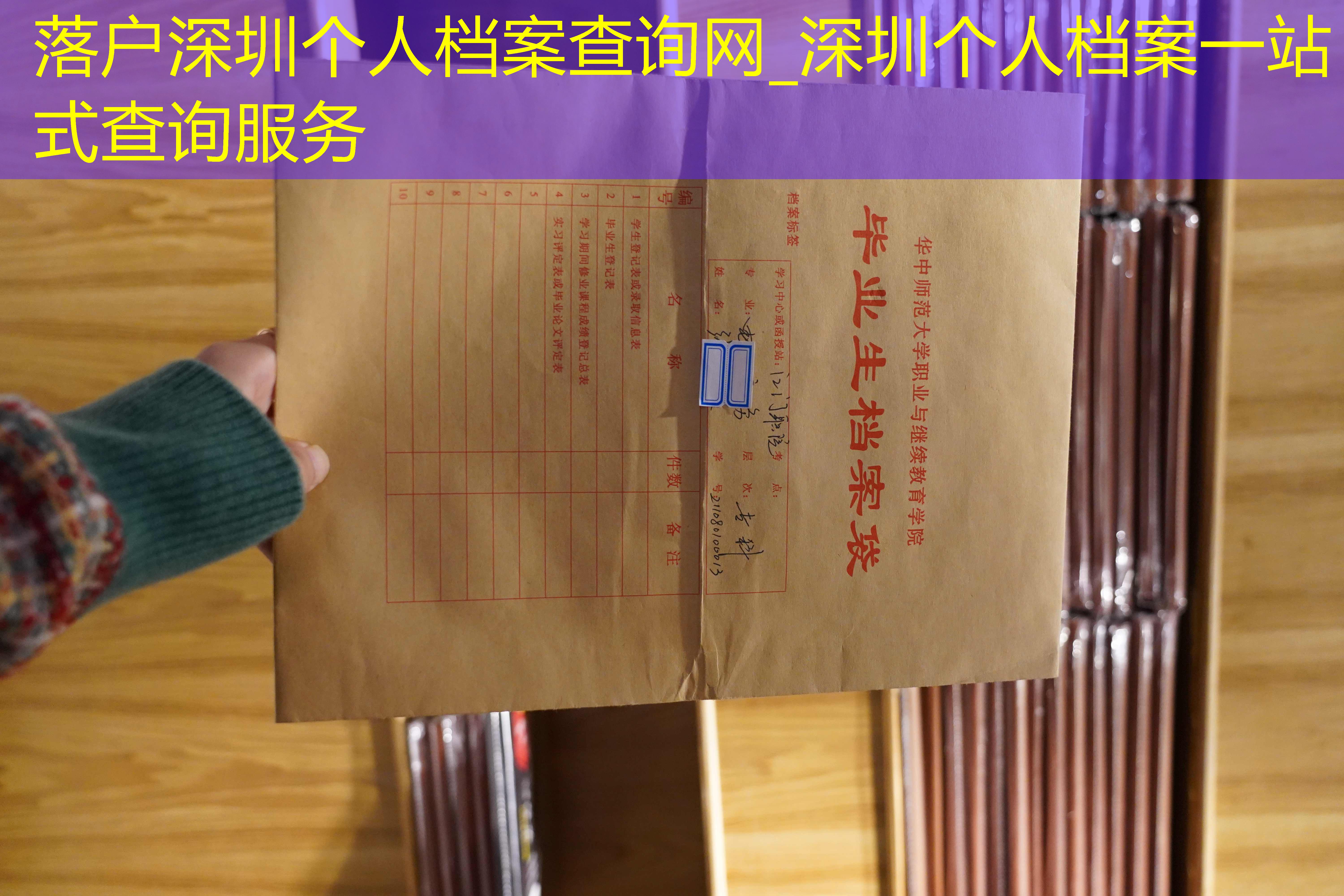 档案查询
