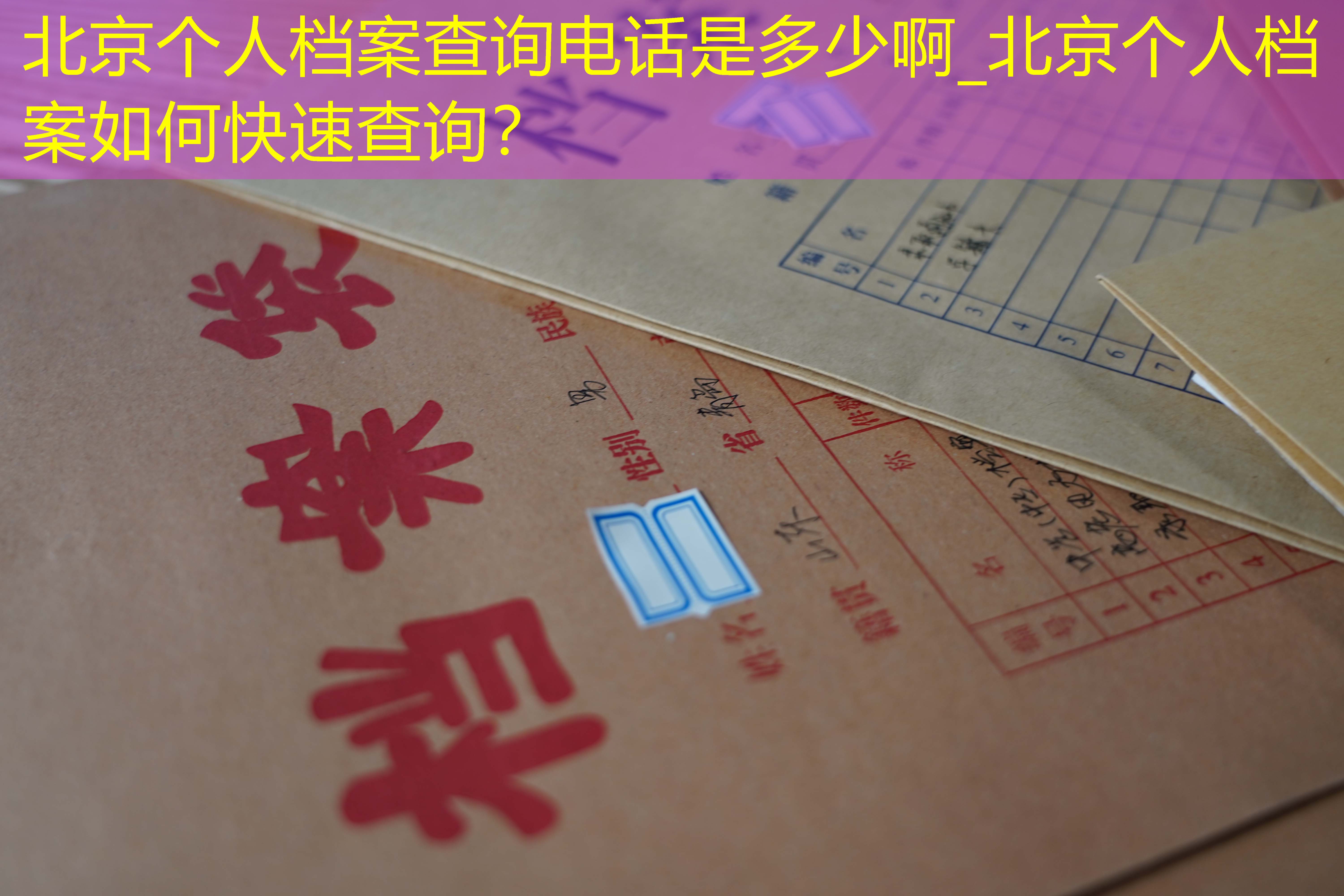 档案查询