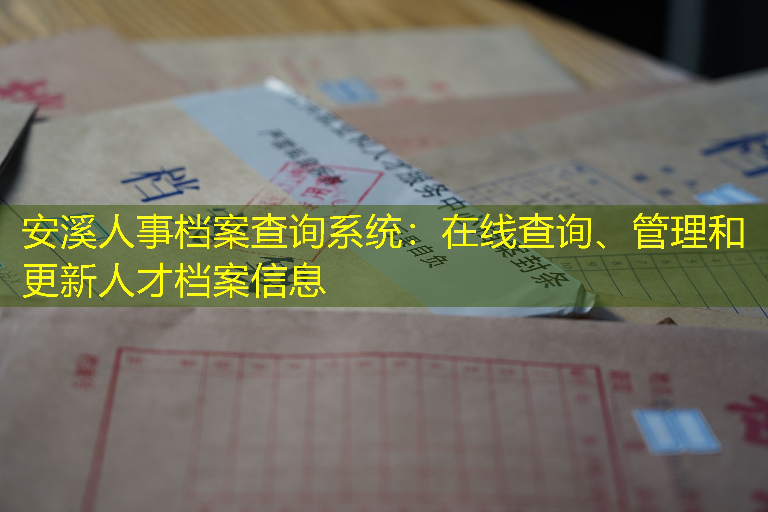 档案查询