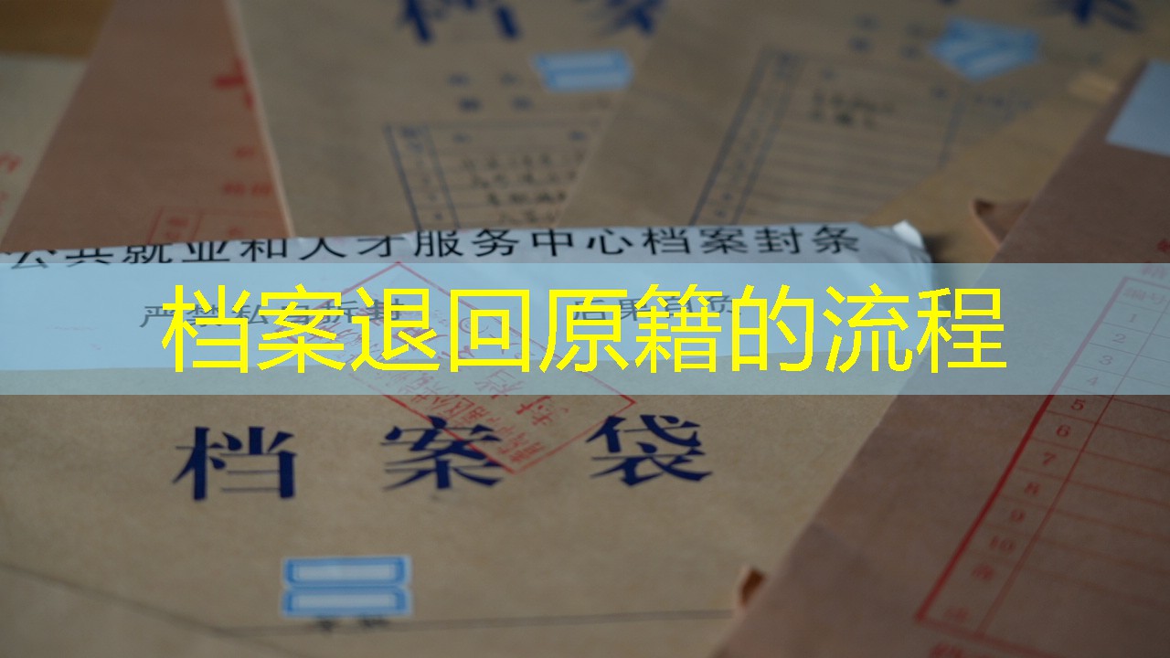 档案查询
