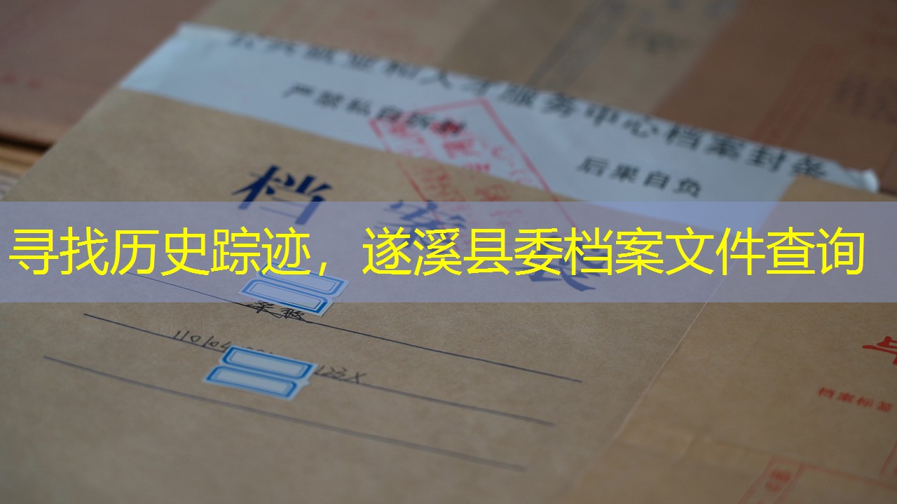 档案查询