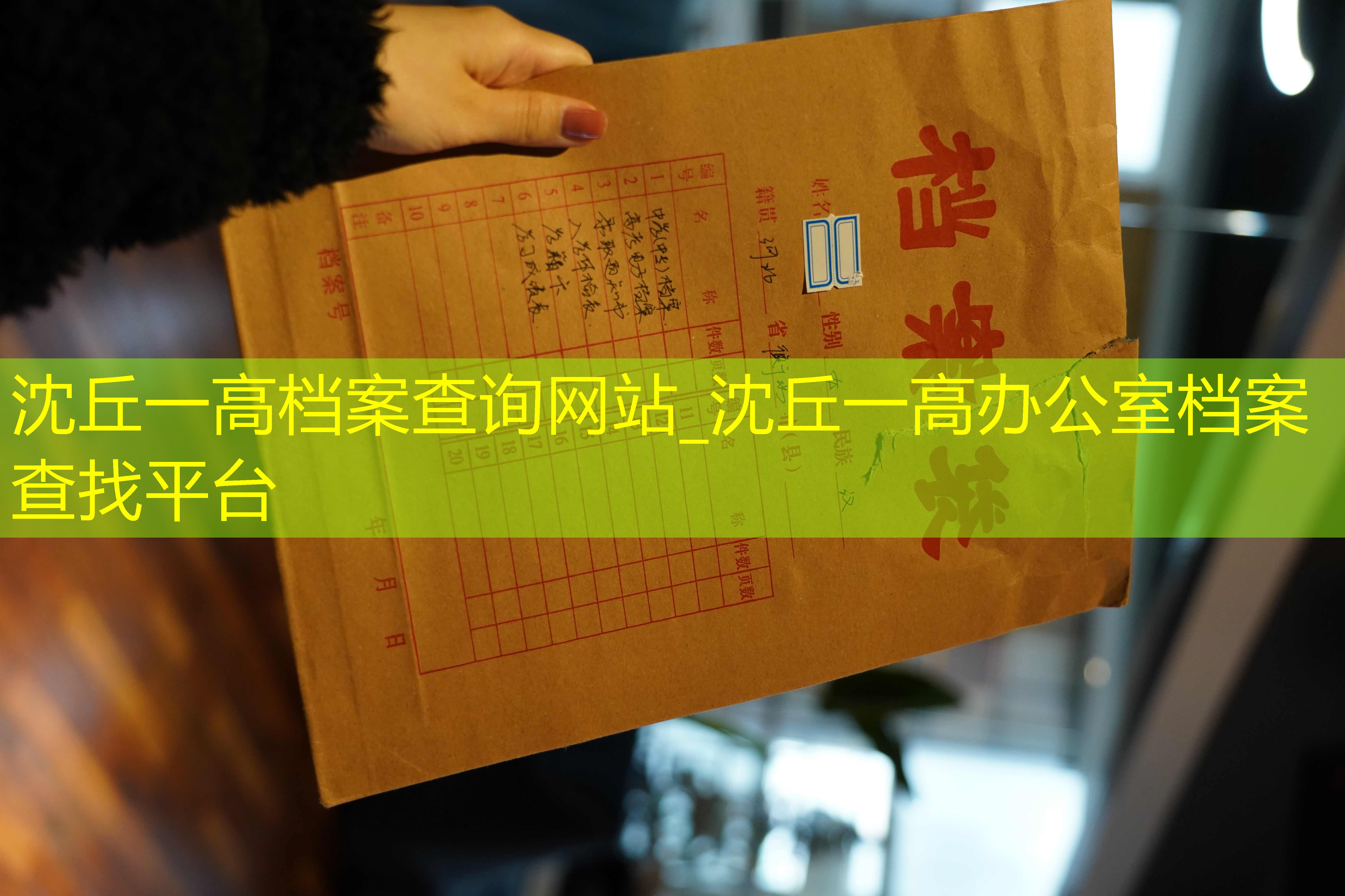 档案查询