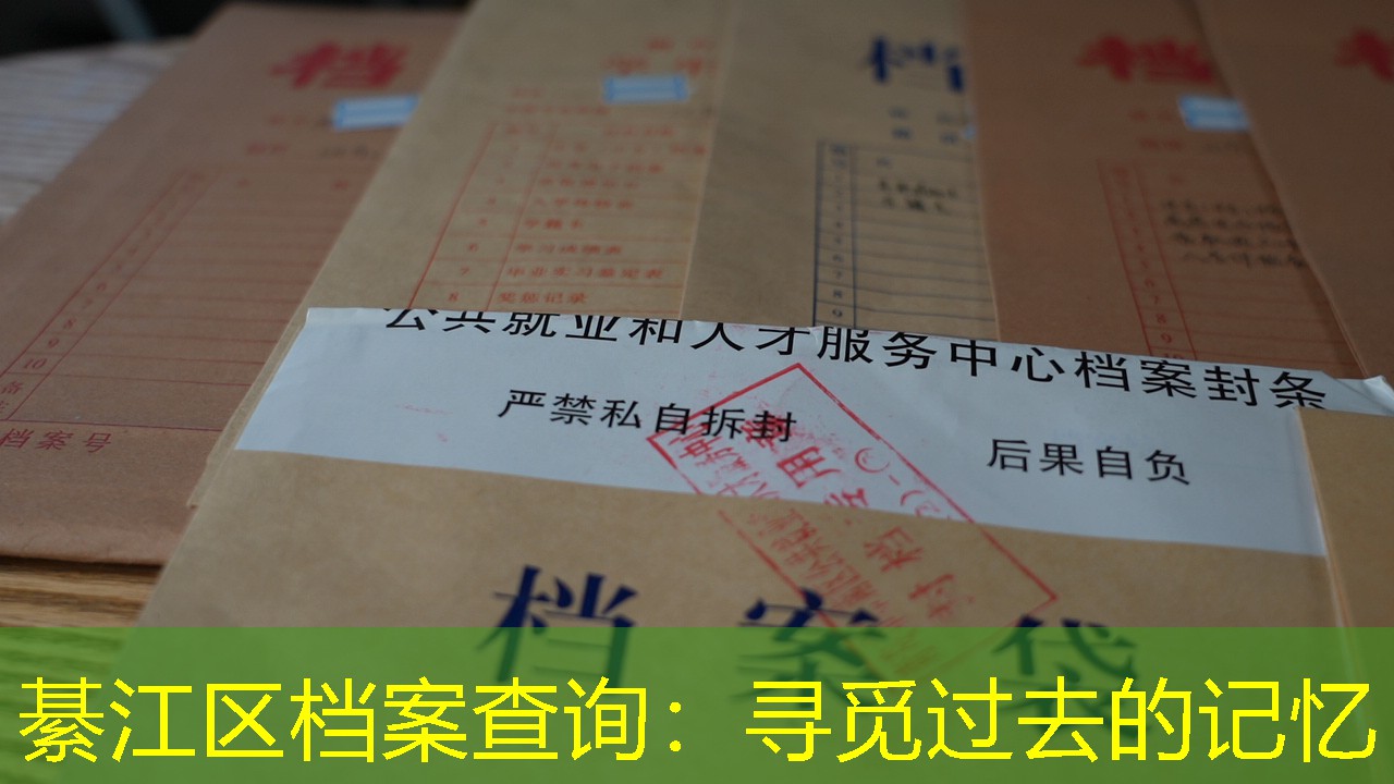 档案查询