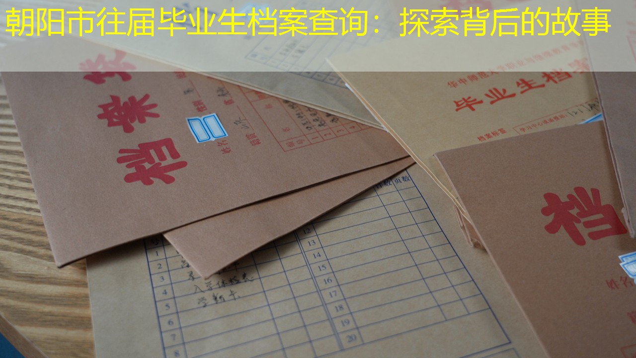 档案查询