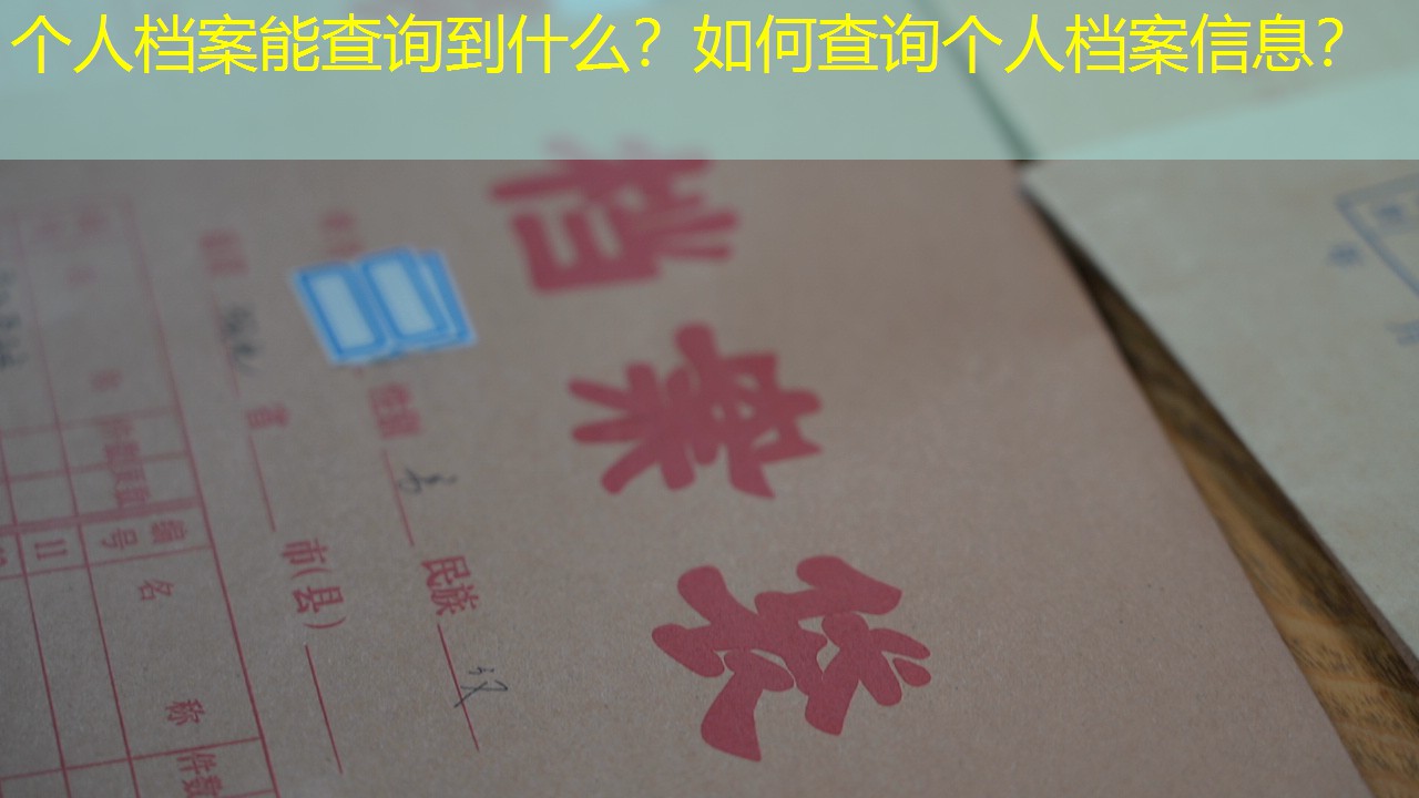 档案查询