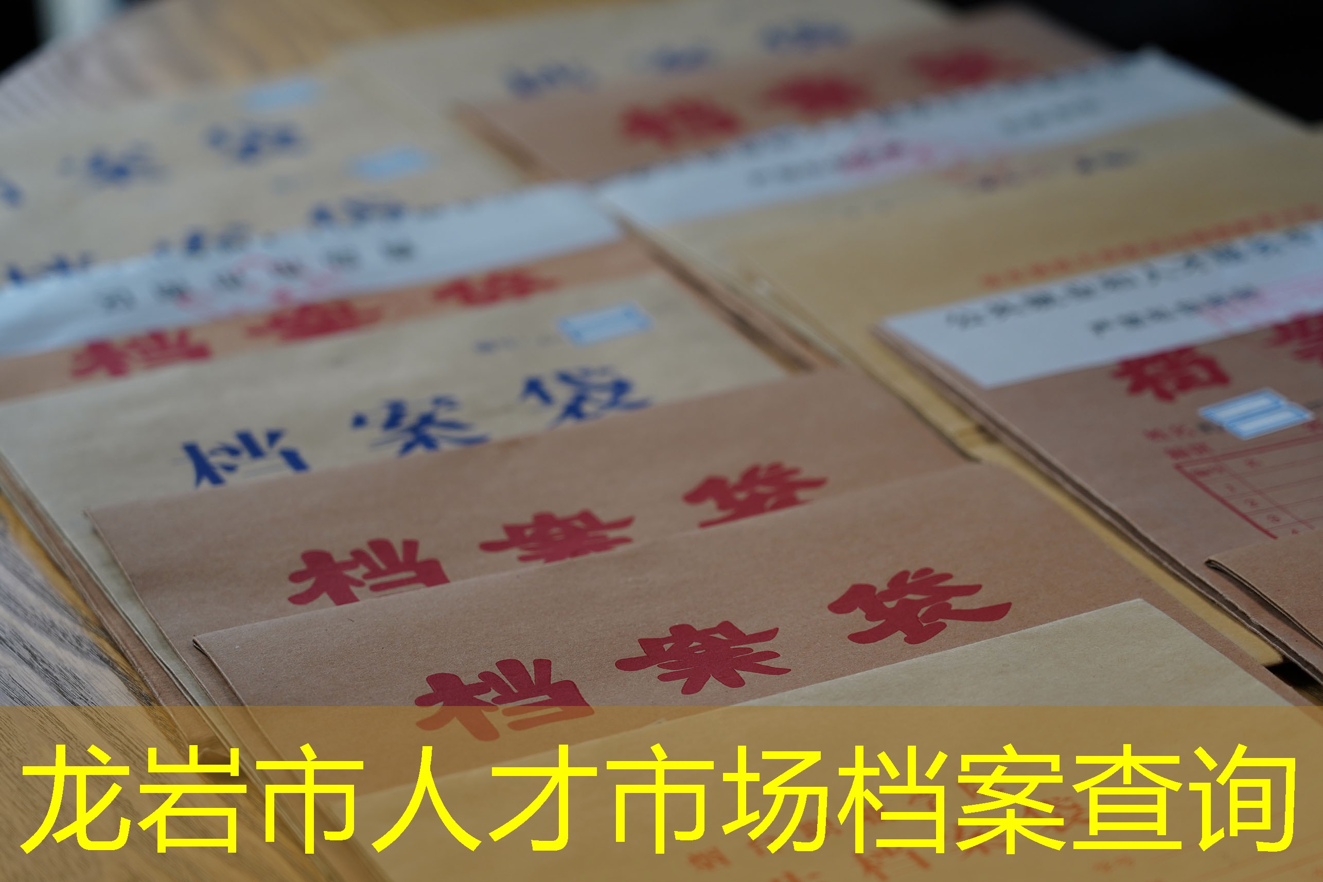 档案查询